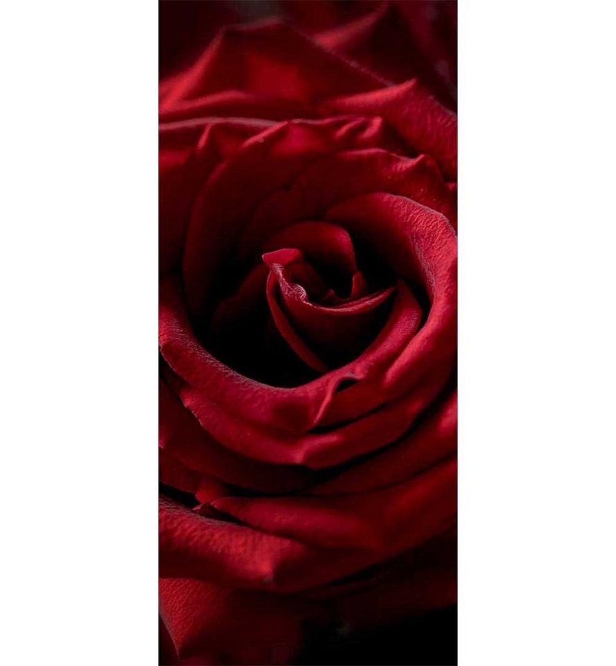 Thumbnail - MyMaxxi Dekorationsfolie Türtapete Türposter Türfolie selbstklebend Rote Rosen Türaufkleber, (Klebefolie Tür aufgerollt)