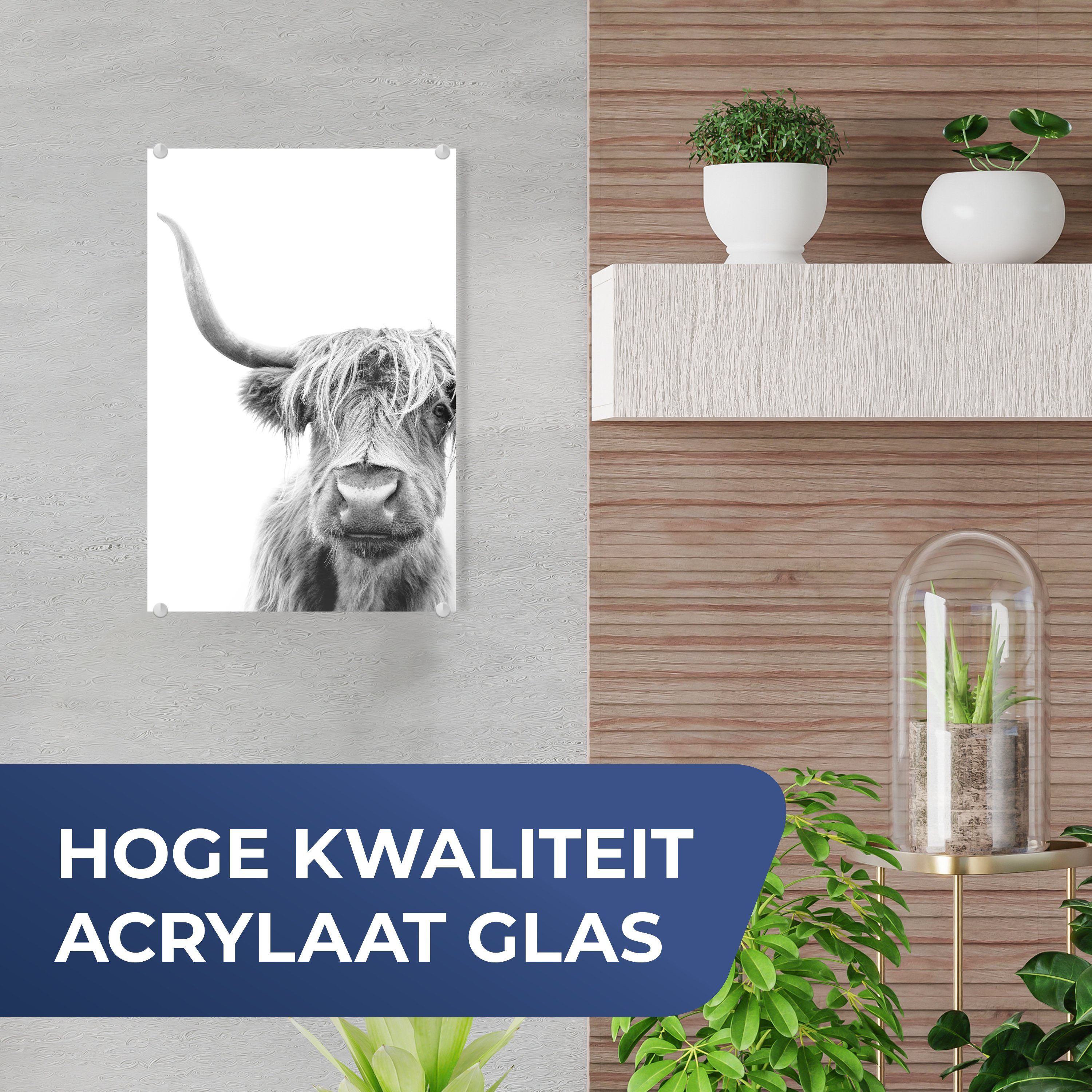 auf Highlander - - Wanddekoration Glas Tiere MuchoWow Schwarz auf Wandbild - Schottischer Glas Acrylglasbild - (1 Weiß, Foto Bilder - Glasbilder St), -