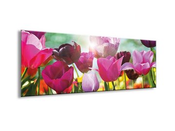 artissimo Glasbild Glasbild 80x30cm Bild aus Glas Blumen Tulpen bunt farbenfroh, Natur und Blumen: Blumenwiese im Frühling