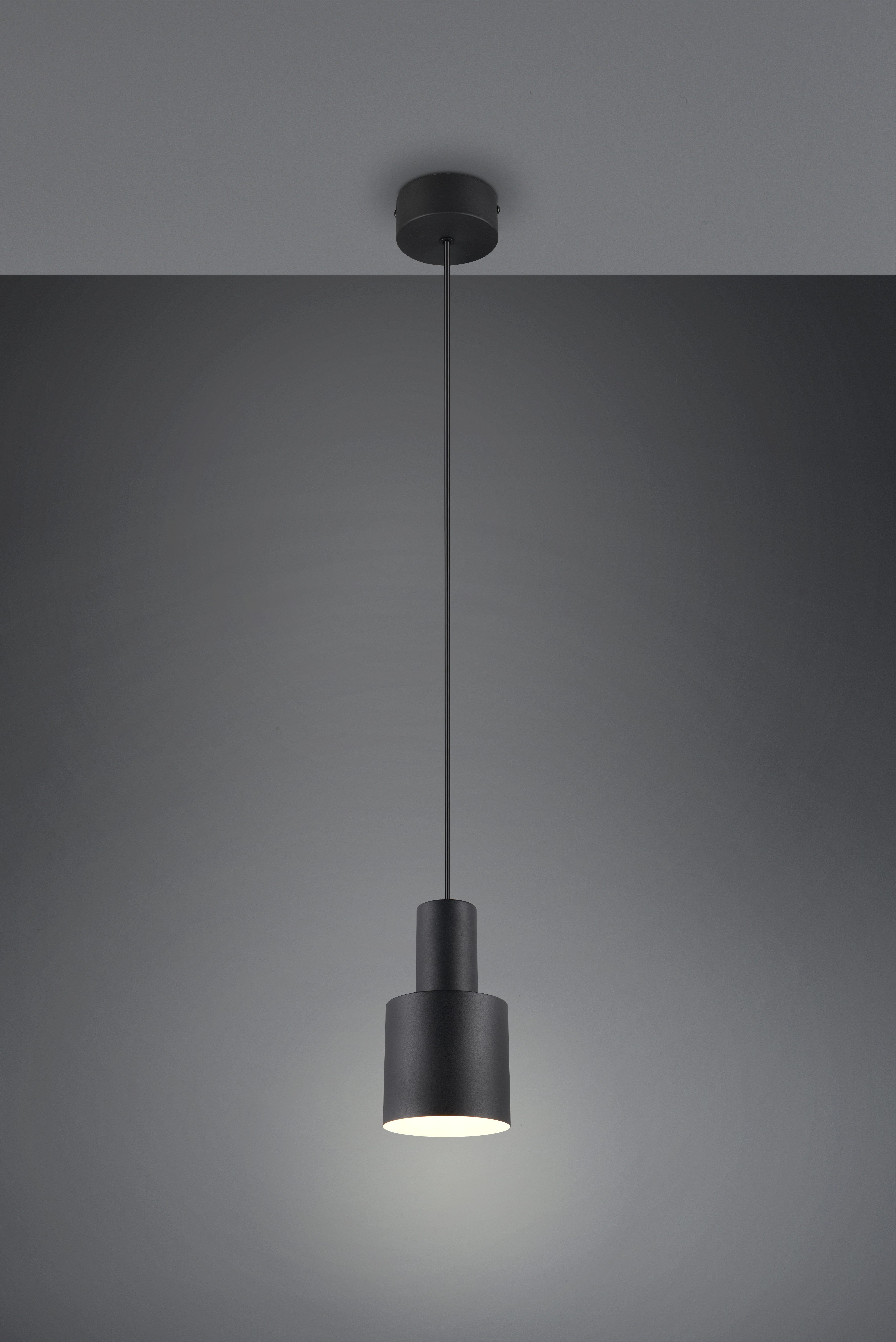 TRIO Leuchten Pendelleuchte AGUDO, Hängelampe 1-flammig, exkl 1xE27 max 10W, höhenverstellbar, Leuchtmittel wechselbar, warmweiß - kaltweiß, Hängelampe Ø 12cm, bis max 150cm Abhängung, Küche Esszimmer Wohnzimmer
