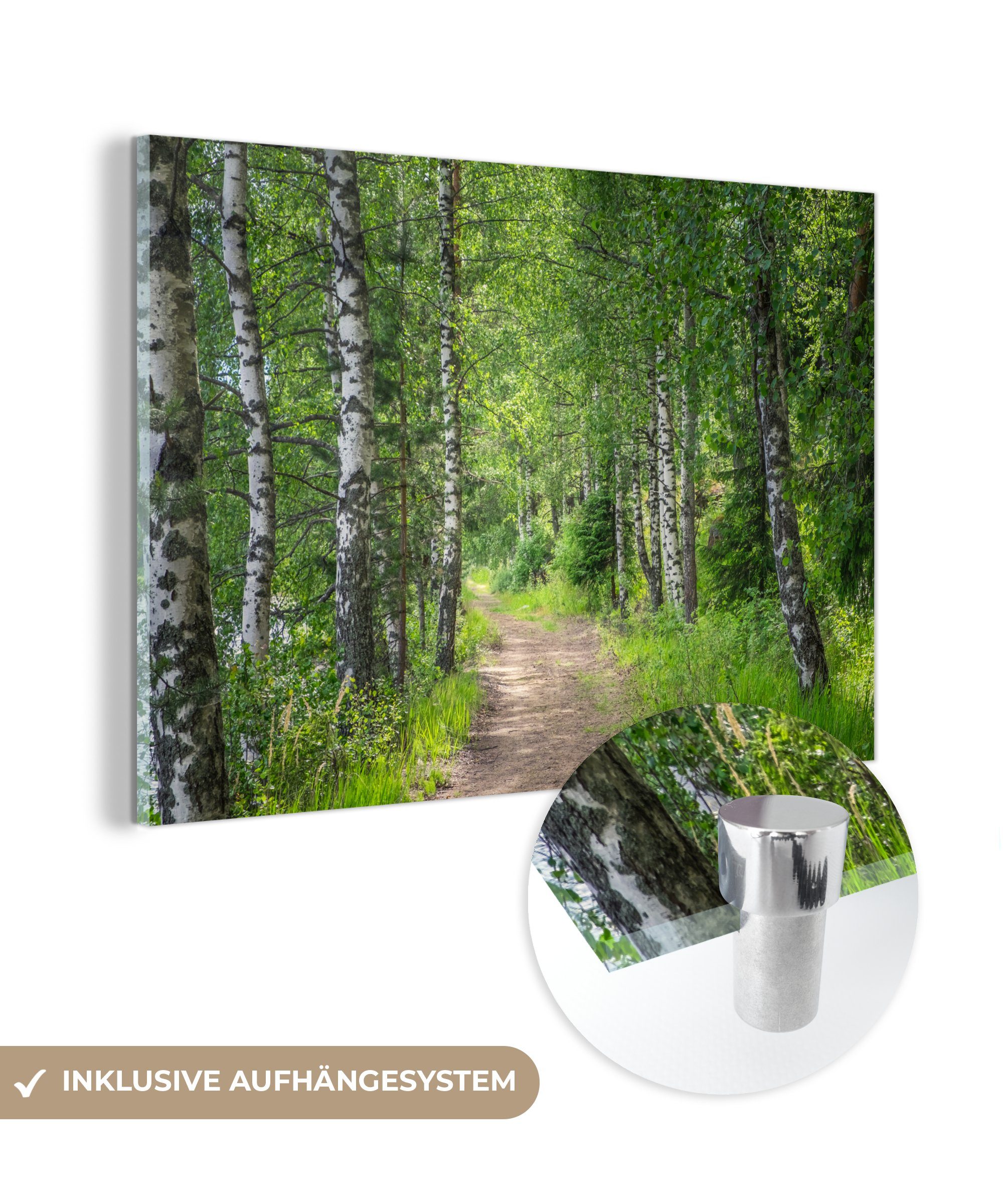 MuchoWow Acrylglasbild Wald - Bäume - Birke, (1 St), Acrylglasbilder Wohnzimmer & Schlafzimmer