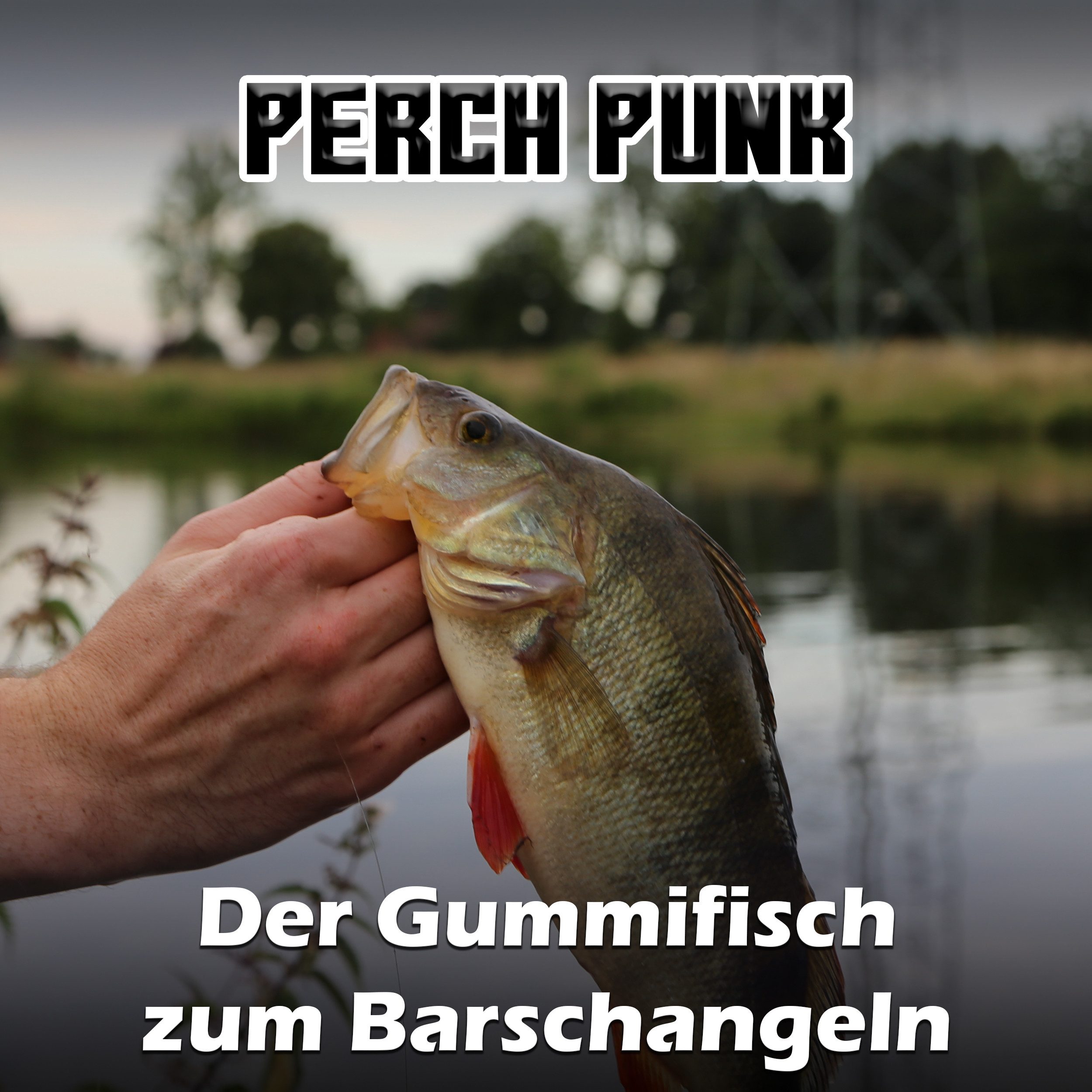 Paradox Fishing Kunstköder Perch Punk 7,5cm Barsch Gummifisch, UV-Aktiv, Squid-Aroma, 7-Stück – Bild 4 von 4