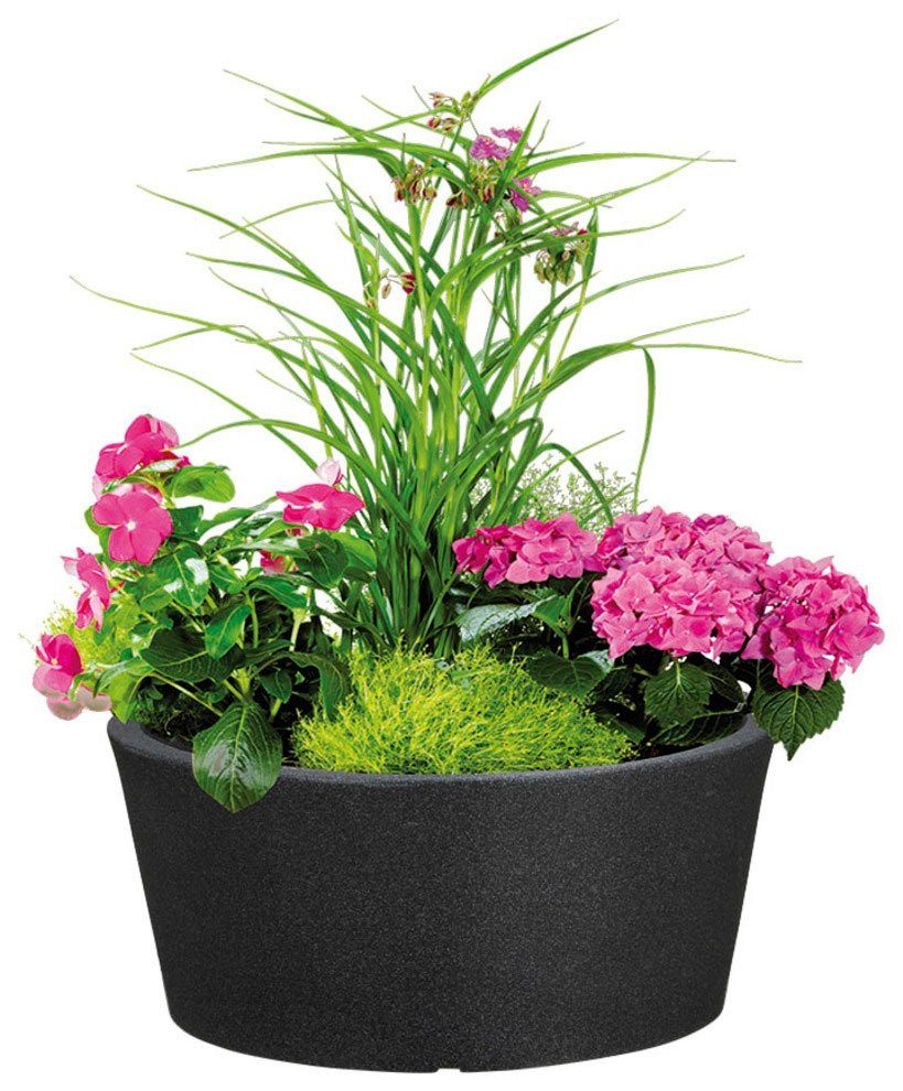 Scheurich Blumentopf 40/239 C-CONE BOWL