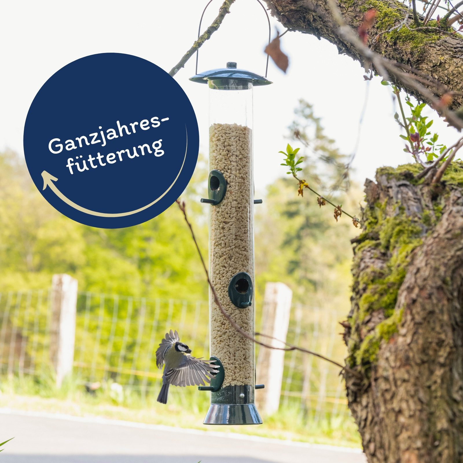 Lyra Pet 10 kg Lyra Pet® Erdnusskerne weiß gehackt, für: Wildvogel