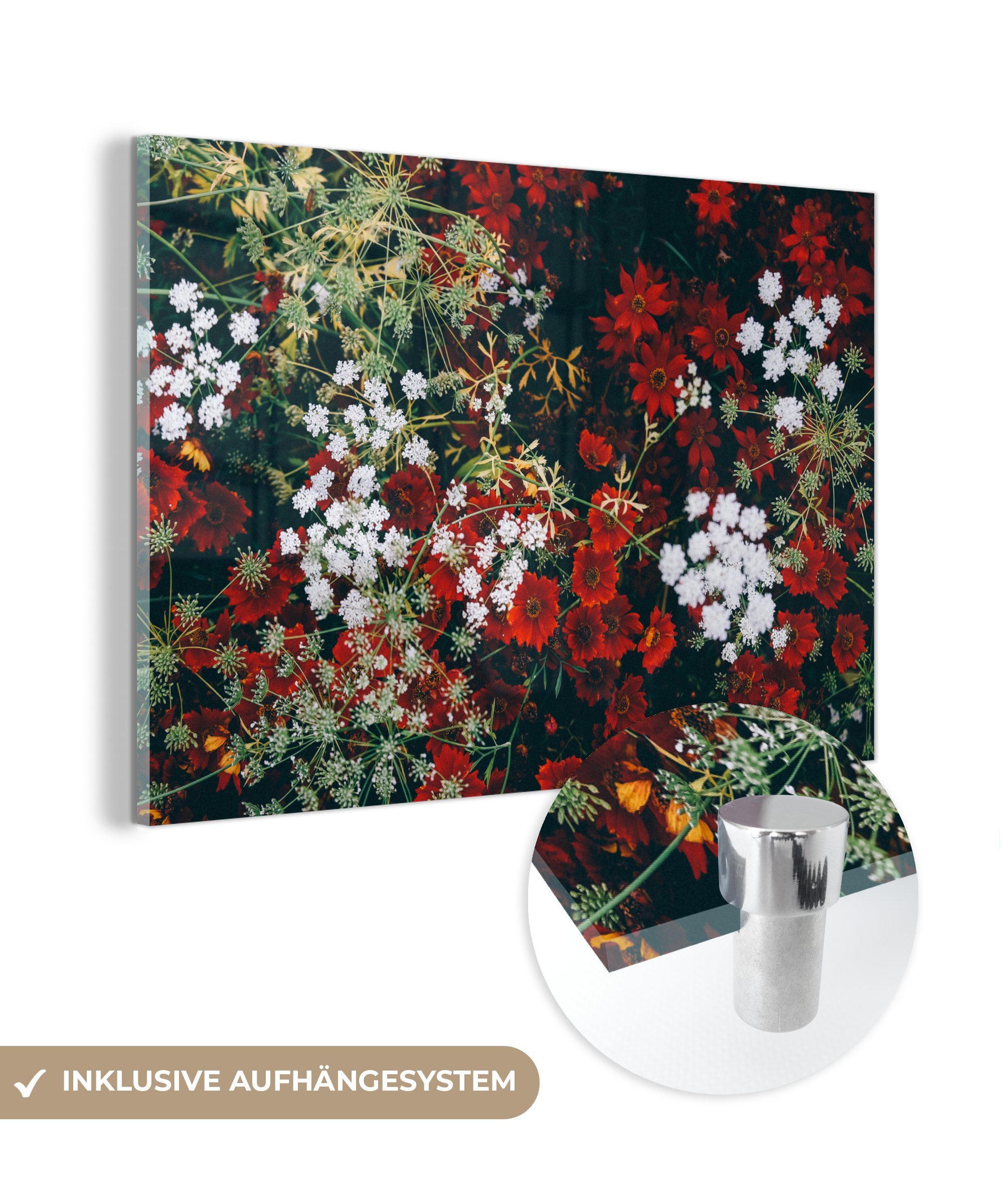 MuchoWow Acrylglasbild Blumen - Wild - Strauch, (1 St), Acrylglasbilder Wohnzimmer & Schlafzimmer
