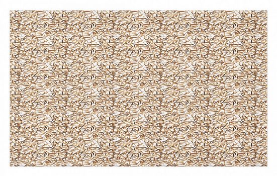 Outdoorteppich »Dekorative Polyester Bodenmatte mit rutschfesten Träger«, Abakuhaus, rechteckig, Braun Zufällige Formen in Erdtönen