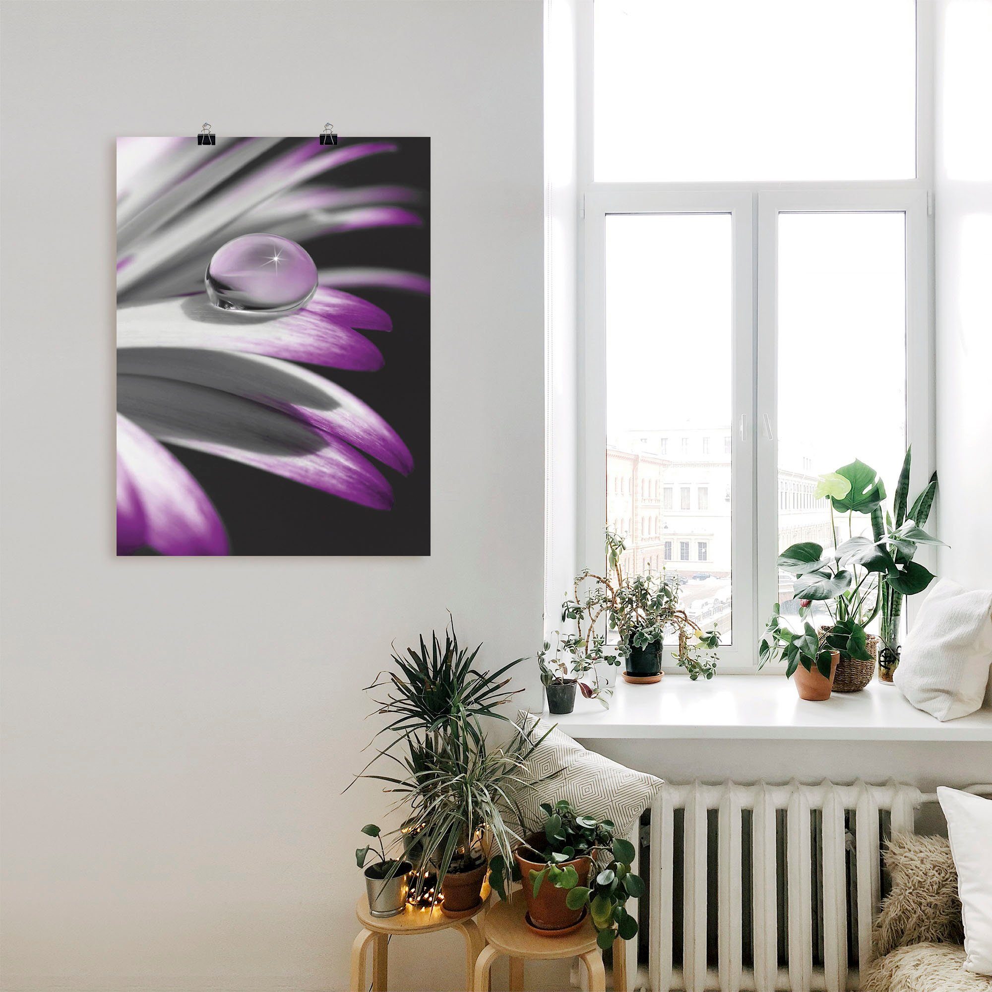 Artland Poster Tropfen, Blumen (1 St), ohne Rahmen