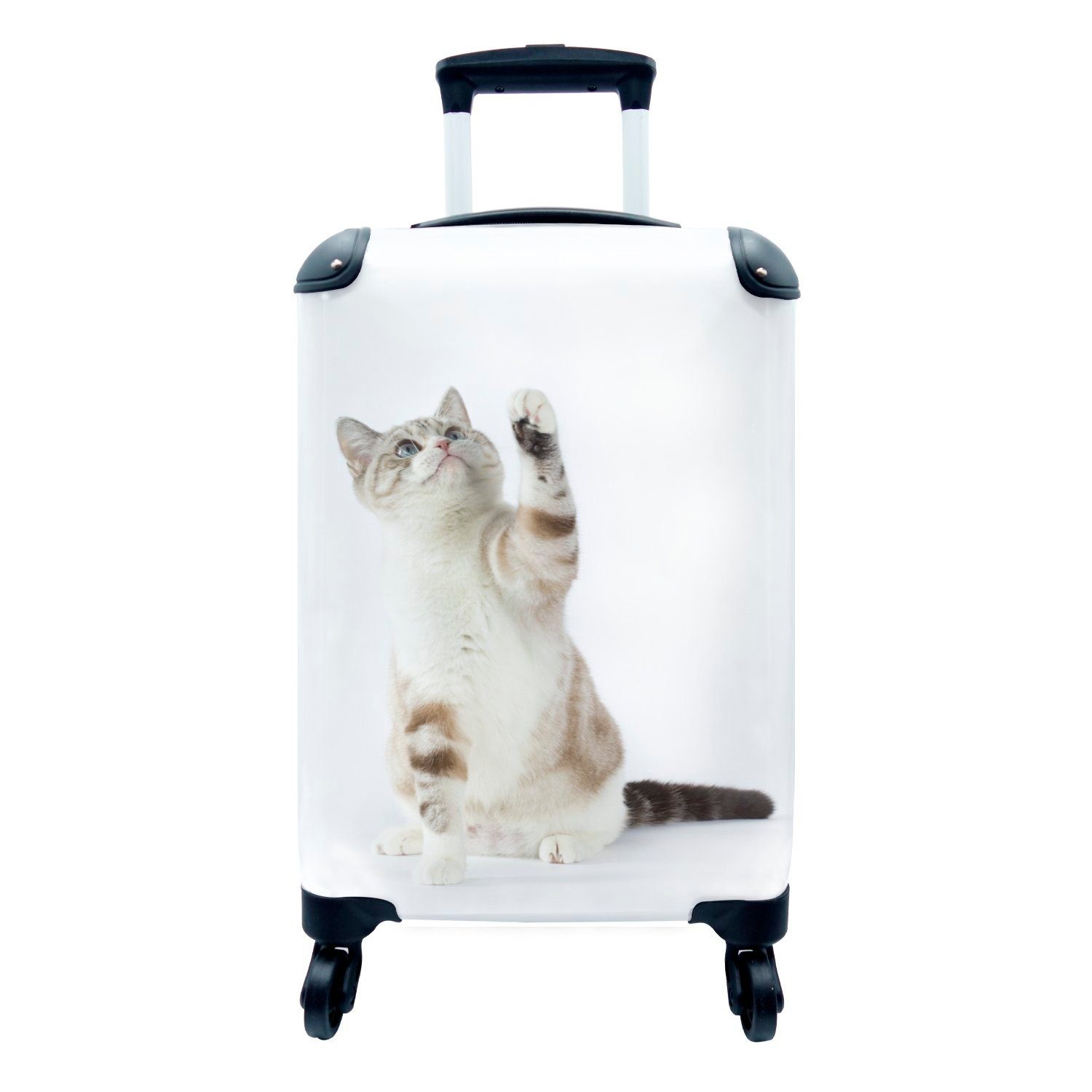 MuchoWow Handgepäckkoffer Spielende Katze auf weißem Hintergrund, 4 Rollen, Reisetasche mit rollen, Handgepäck für Ferien, Trolley, Reisekoffer