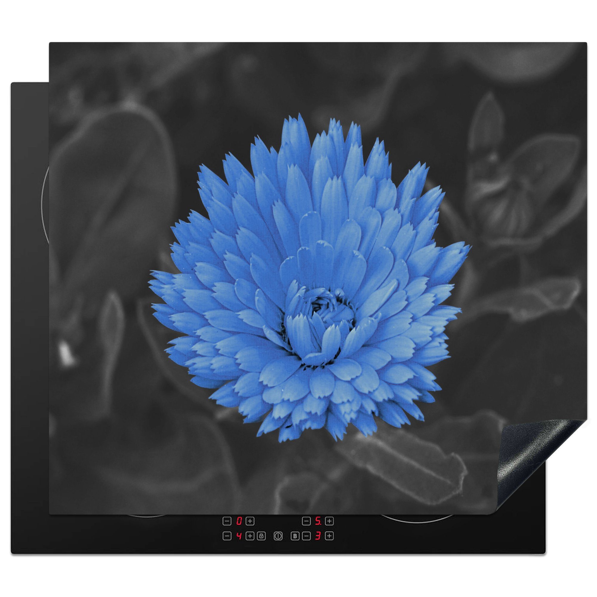 MuchoWow Herdblende-/Abdeckplatte Blumen - Schwarz Vinyl, 59x52 Blau, cm, - Weiß Ceranfeldabdeckung küche, Induktionsmatte für die (1 - tlg)