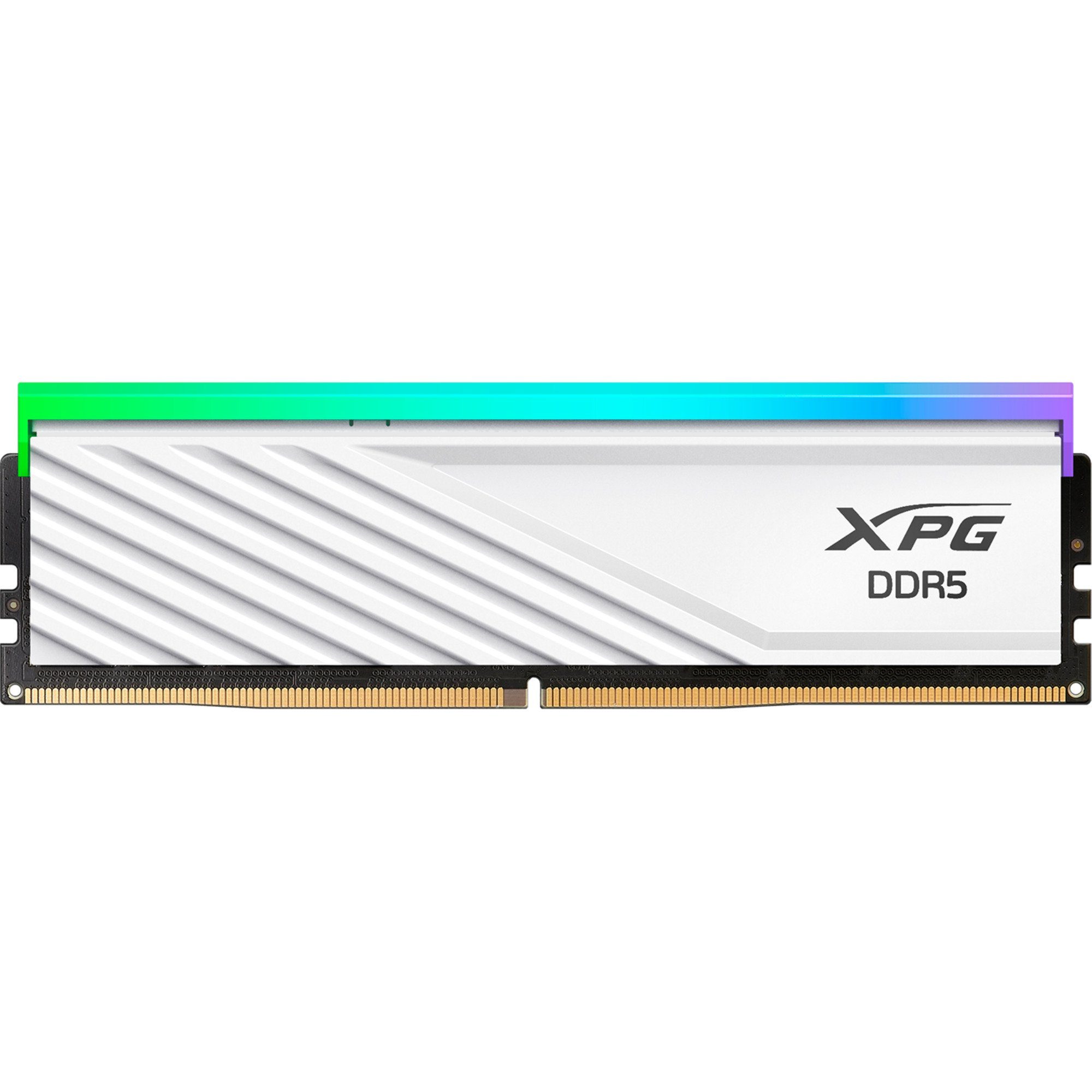 ADATA DIMM 8 GB DDR5-5600 (1x 8 GB), Arbeitsspeicher