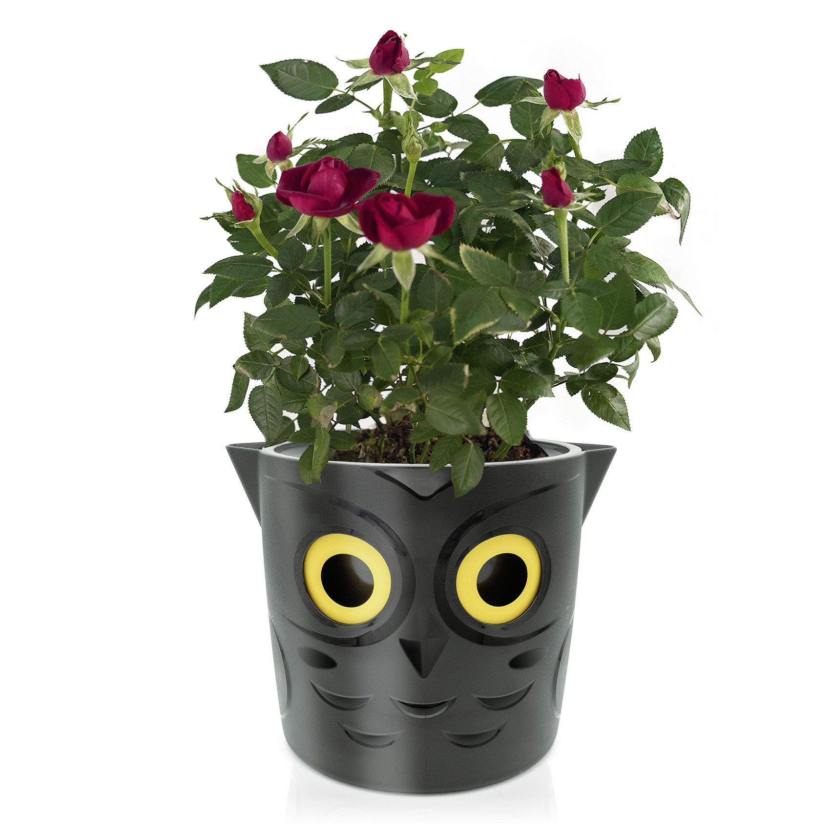 WENKO Blumentopf Blumentopf mit Wasserstandsanzeige, Ø 18 cm