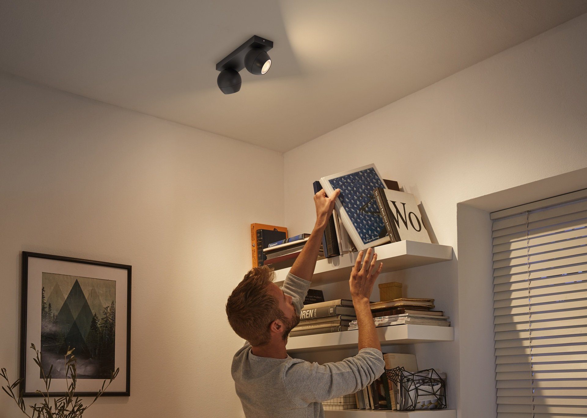 Philips Hue LED Flutlichtstrahler Buckram, Dimmfunktion, Warmweiß wechselbar, Leuchtmittel