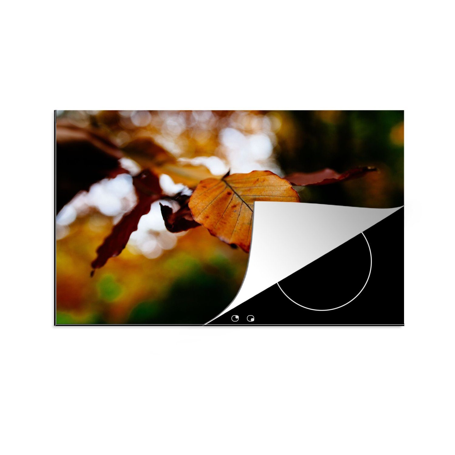 MuchoWow Herdblende-/Abdeckplatte Buche - Herbst - Laub, Vinyl, (1 tlg), 80x52 cm, Induktionskochfeld Schutz für die küche, Ceranfeldabdeckung