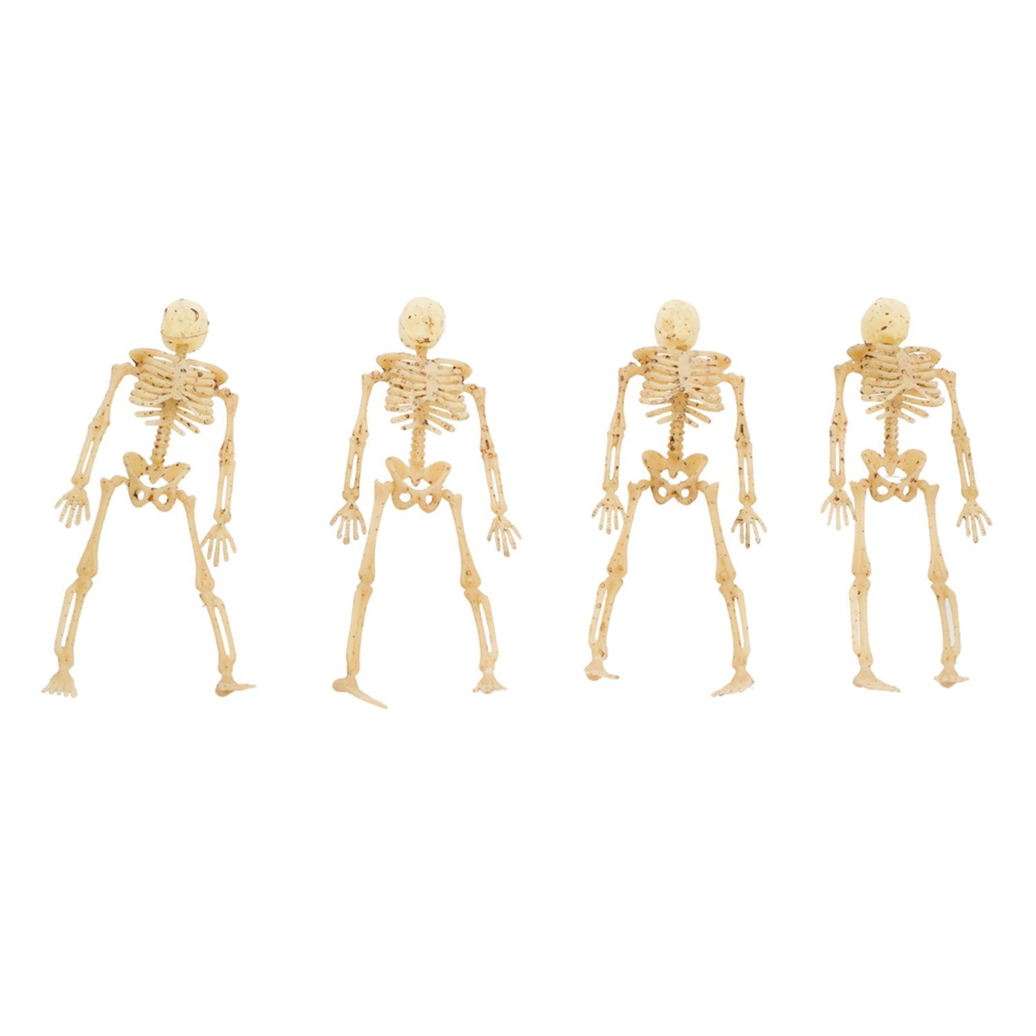 Knochenweiß 'Mini CHAKS - 20er Ha cm, Dekoobjekt Set - Skelette' 9