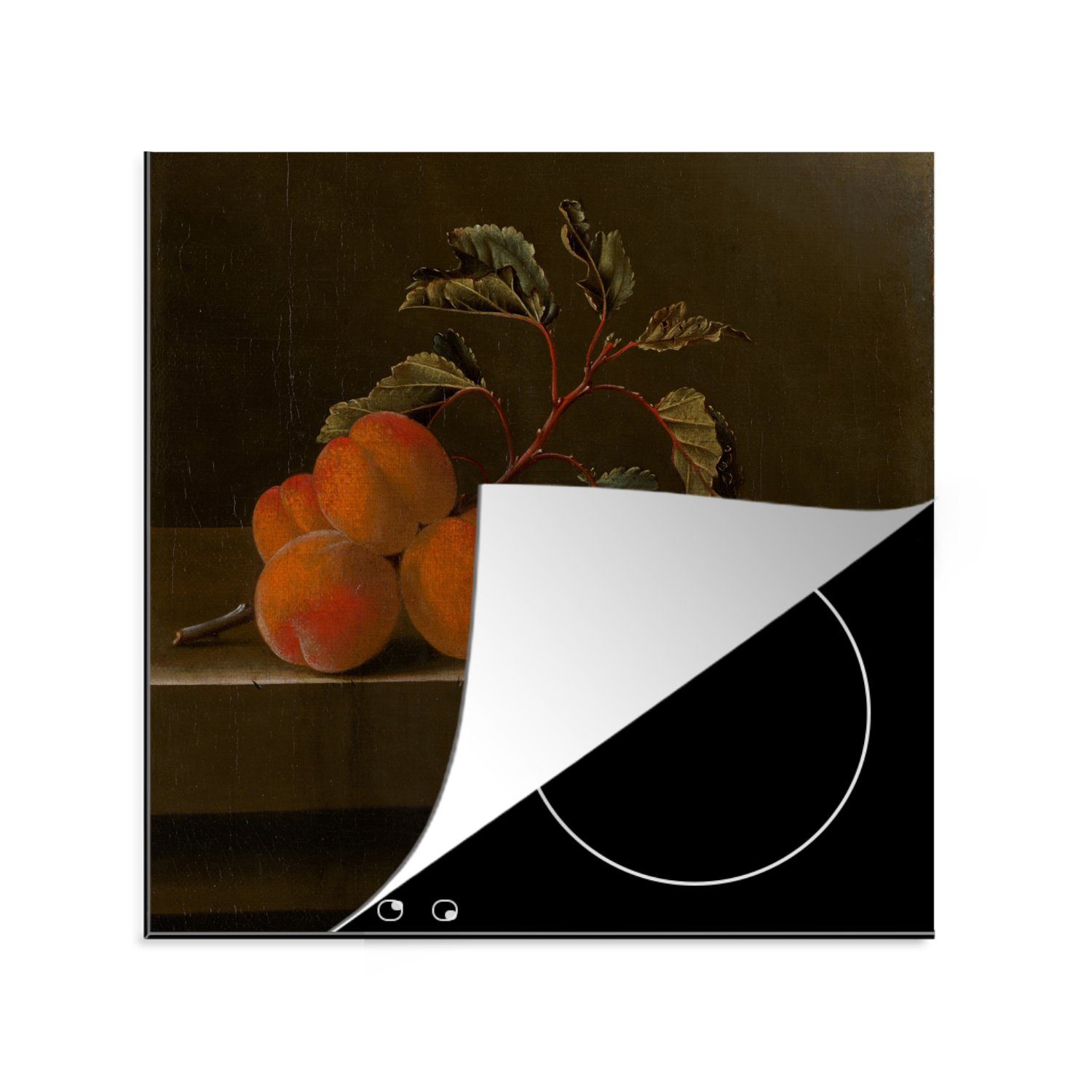 Coorte Aprikosen (1 Herdblende-/Abdeckplatte Gemälde im, mit Arbeitsplatte Ceranfeldabdeckung, Vinyl, küche von für 78x78 fünf Adriaen - tlg), cm, MuchoWow Stilleben