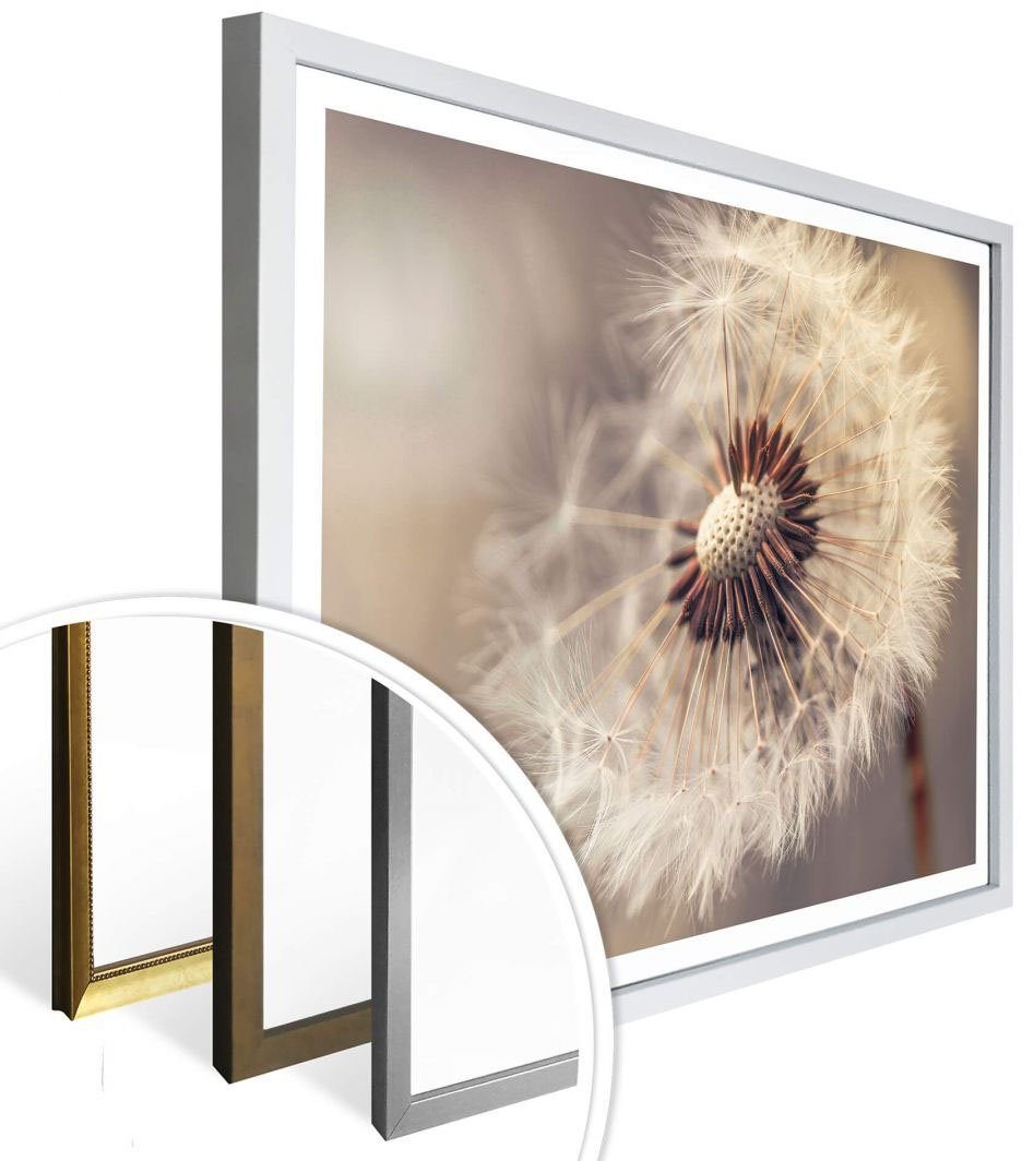 Pusteblume, Wall-Art St) Blumen (1 Poster