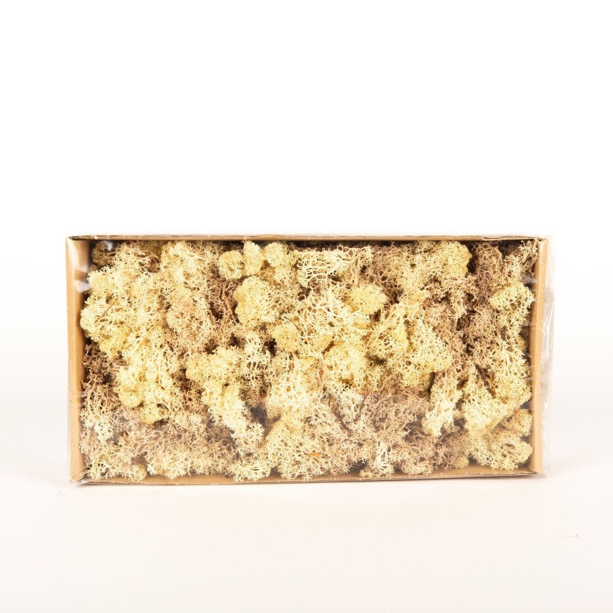 INNA-Glas Moos Dekoratives Moos SVEINBJÖRN, Sepia-beige, 500g