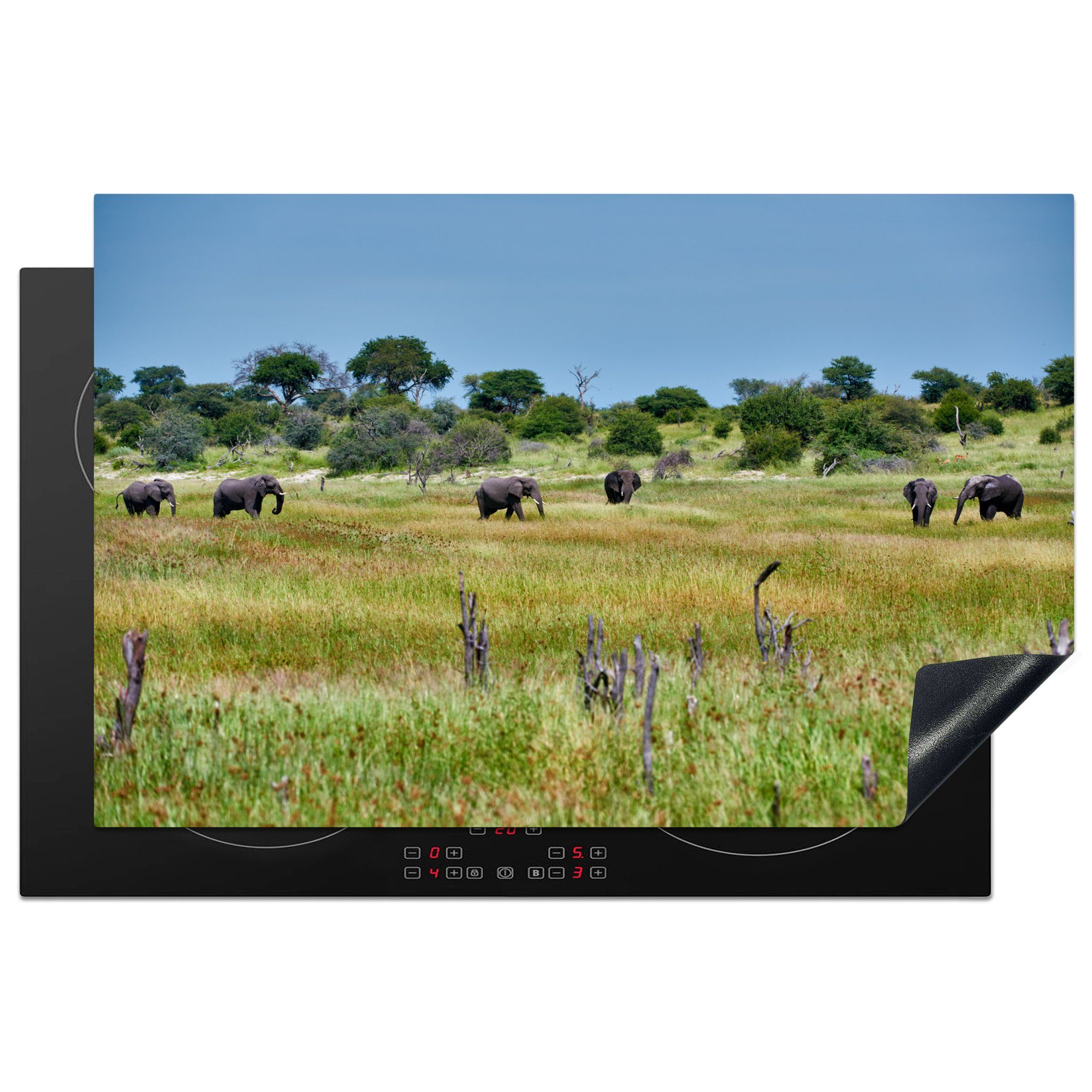 MuchoWow Herdblende-/Abdeckplatte Herde afrikanischer Elefanten im Makgadikgadi Pans National Park, Vinyl, (1 tlg), 81x52 cm, Induktionskochfeld Schutz für die küche, Ceranfeldabdeckung