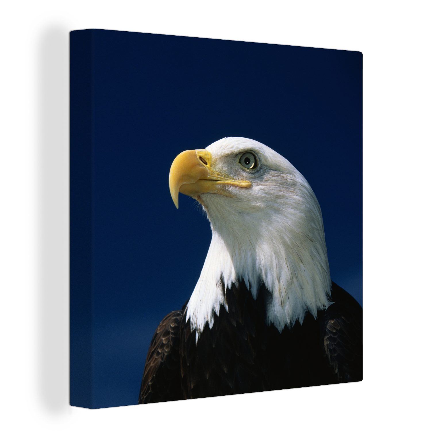 OneMillionCanvasses® Leinwandbild Ein Weißkopfseeadler schaut in einen blauen Himmel, (1 St), Leinwand Bilder für Wohnzimmer Schlafzimmer