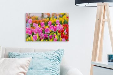 OneMillionCanvasses® Leinwandbild Tulpen - Farben - Frühling, (1 St), Wandbild Leinwandbilder, Aufhängefertig, Wanddeko, 30x20 cm