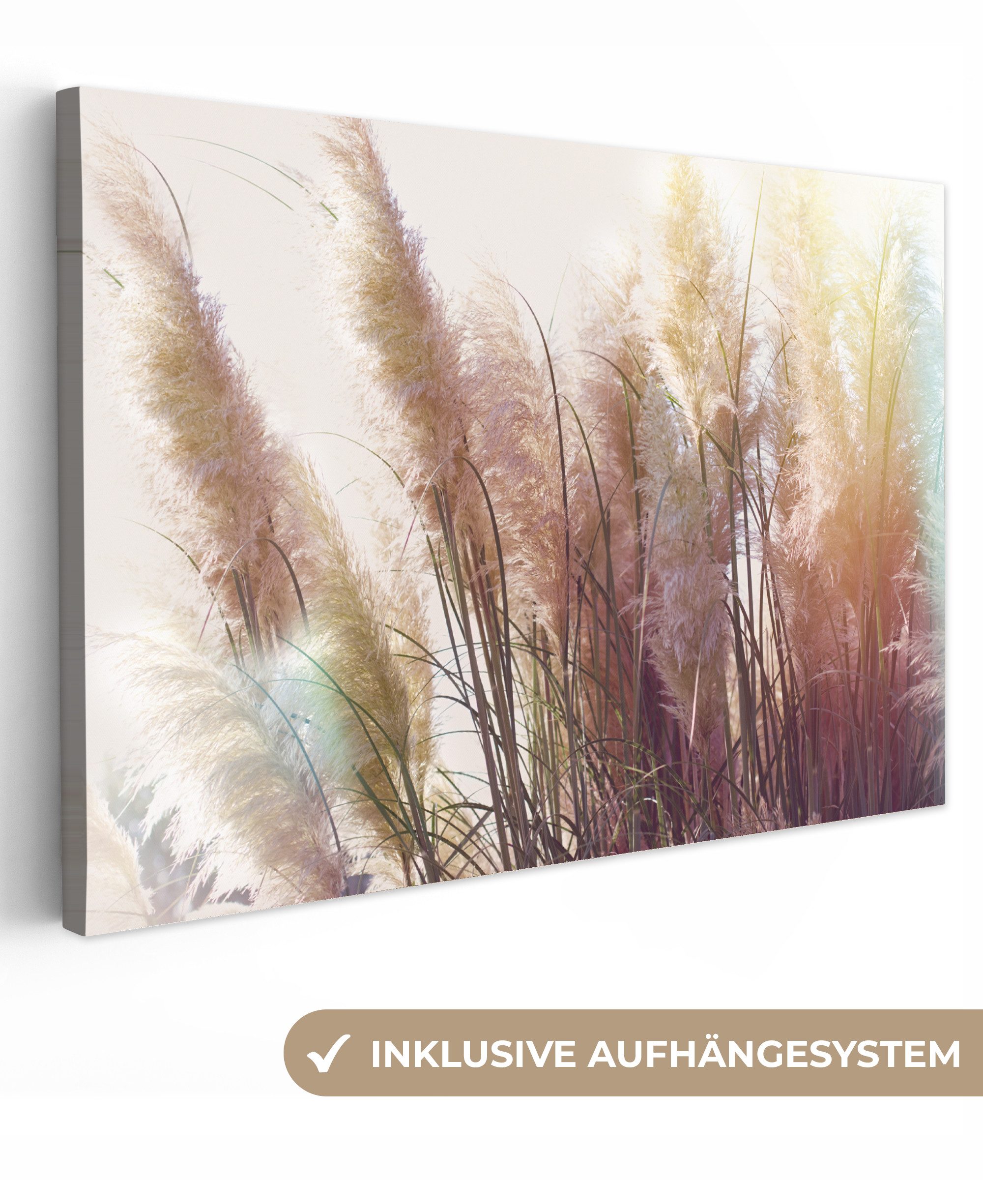 OneMillionCanvasses® Leinwandbild Stilleben - Farben - Schilf, Fotodruck (1 günstig online kaufen