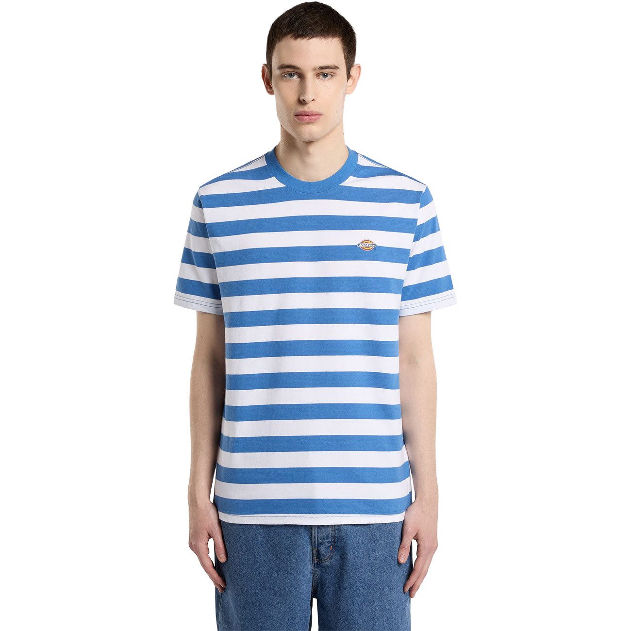 Dickies T-Shirt Rivergrove Tee Rivergrove Tee