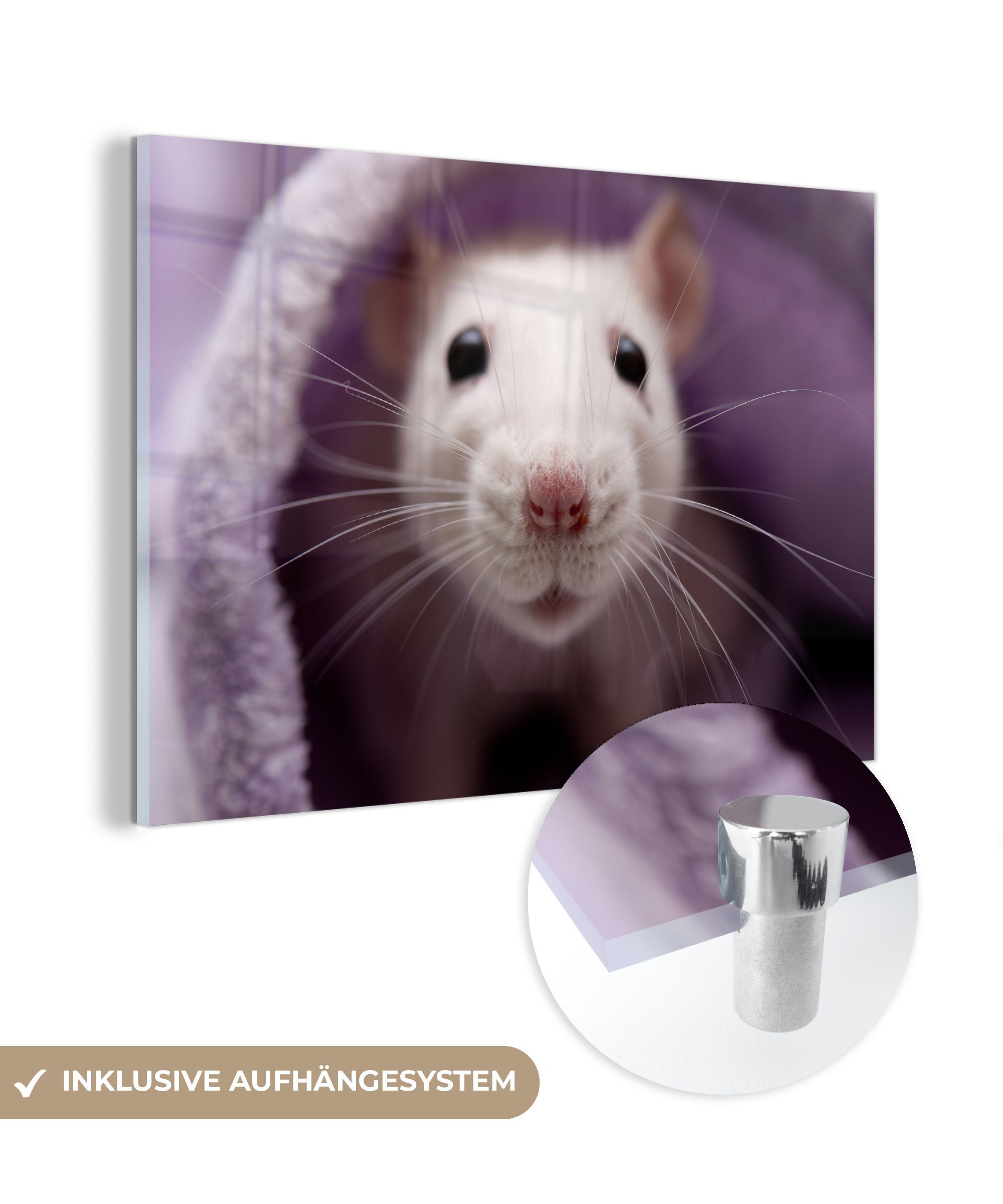MuchoWow Acrylglasbild Nahaufnahme einer weißen Maus, (1 St), Acrylglasbilder Wohnzimmer & Schlafzimmer