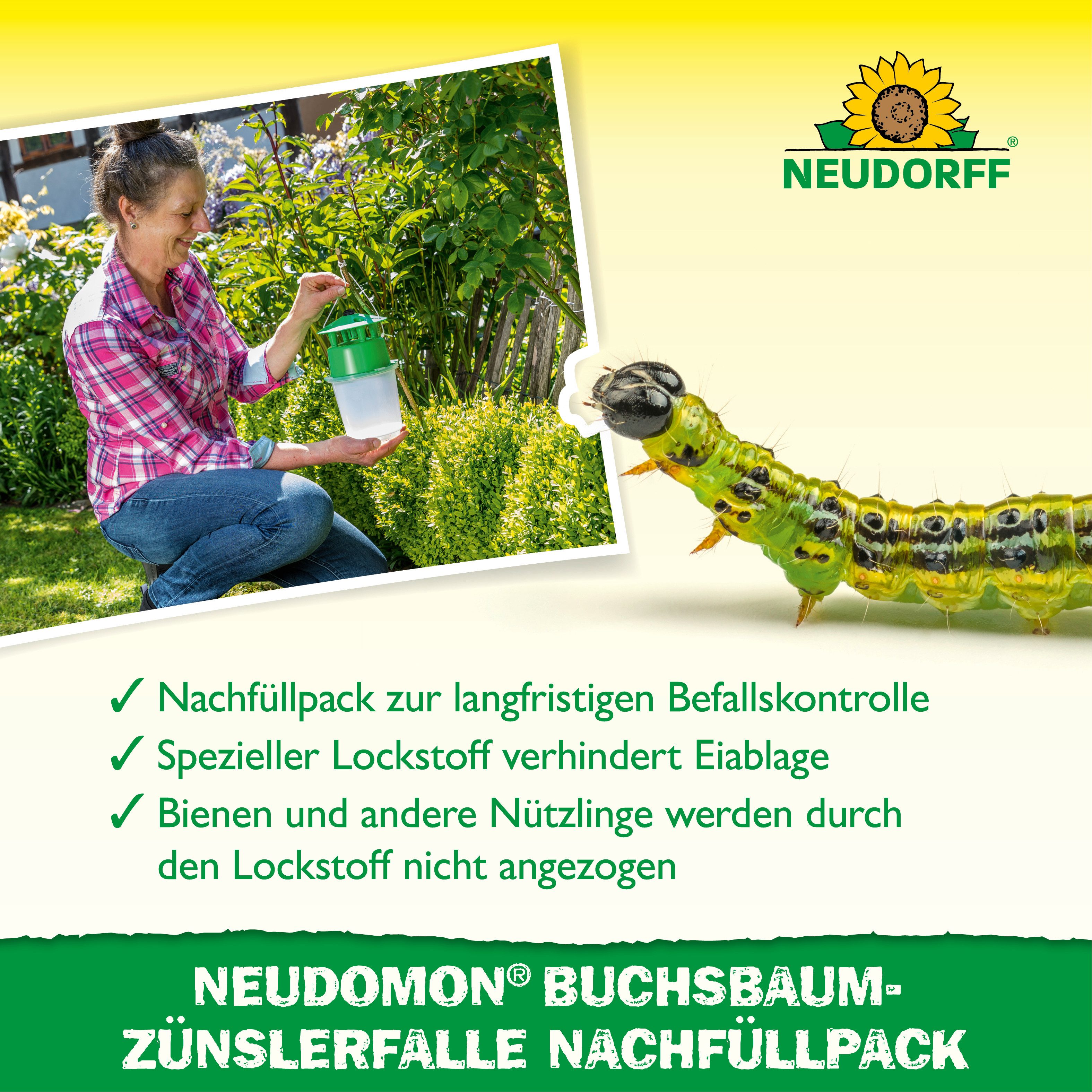 Neudorff Tierfallen-Köder Neudomon BuchsbaumzünslerFalle Nachfüllpack 1 Stk., 2 Stück, Nachfüllpack für Buchsbaumzünsler-Falle, 2 Lockstoffdepots, 2 Lockstoffde – Bild 4 von 5