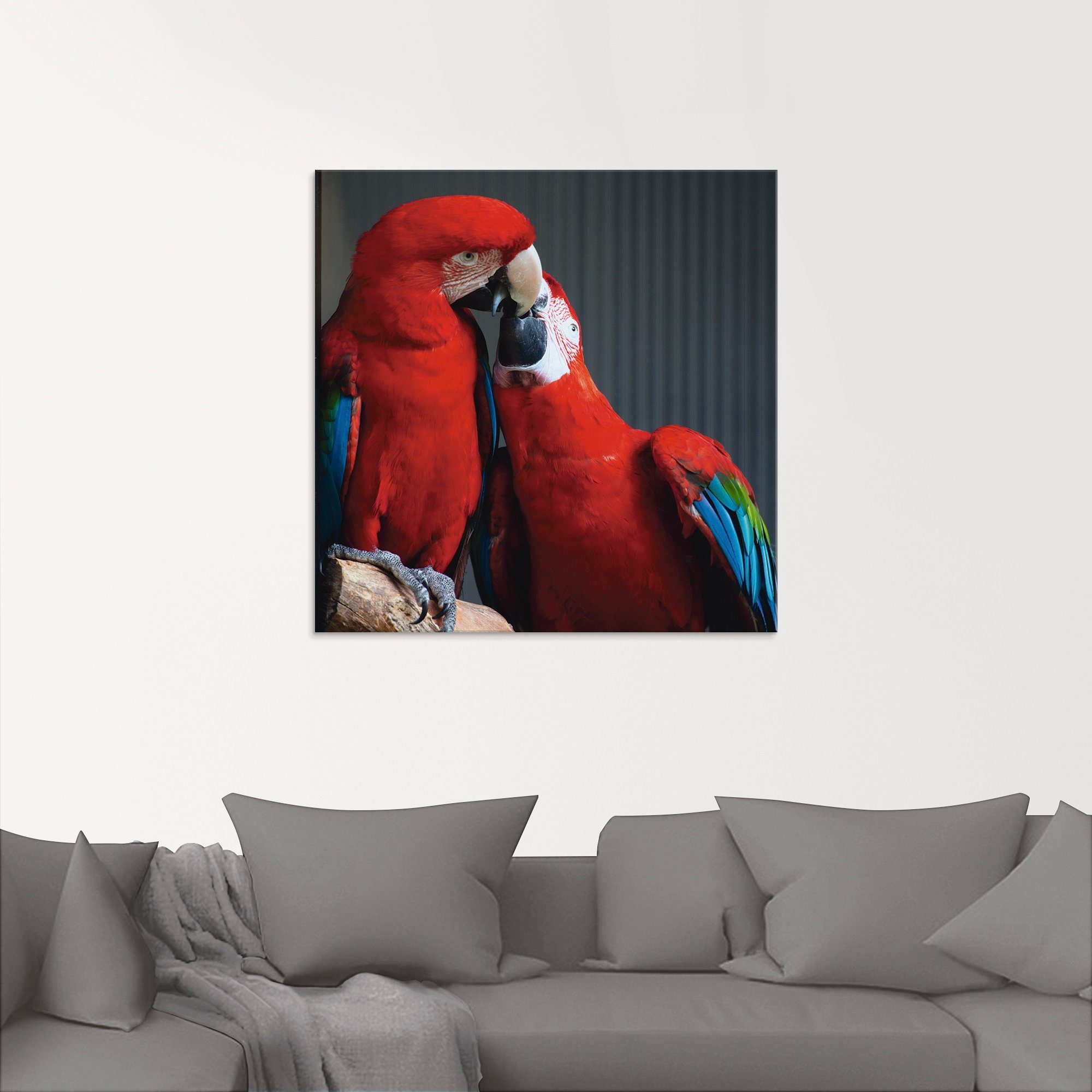 Artland Glasbild Papageien, Vögel Größen (1 verschiedenen in St)