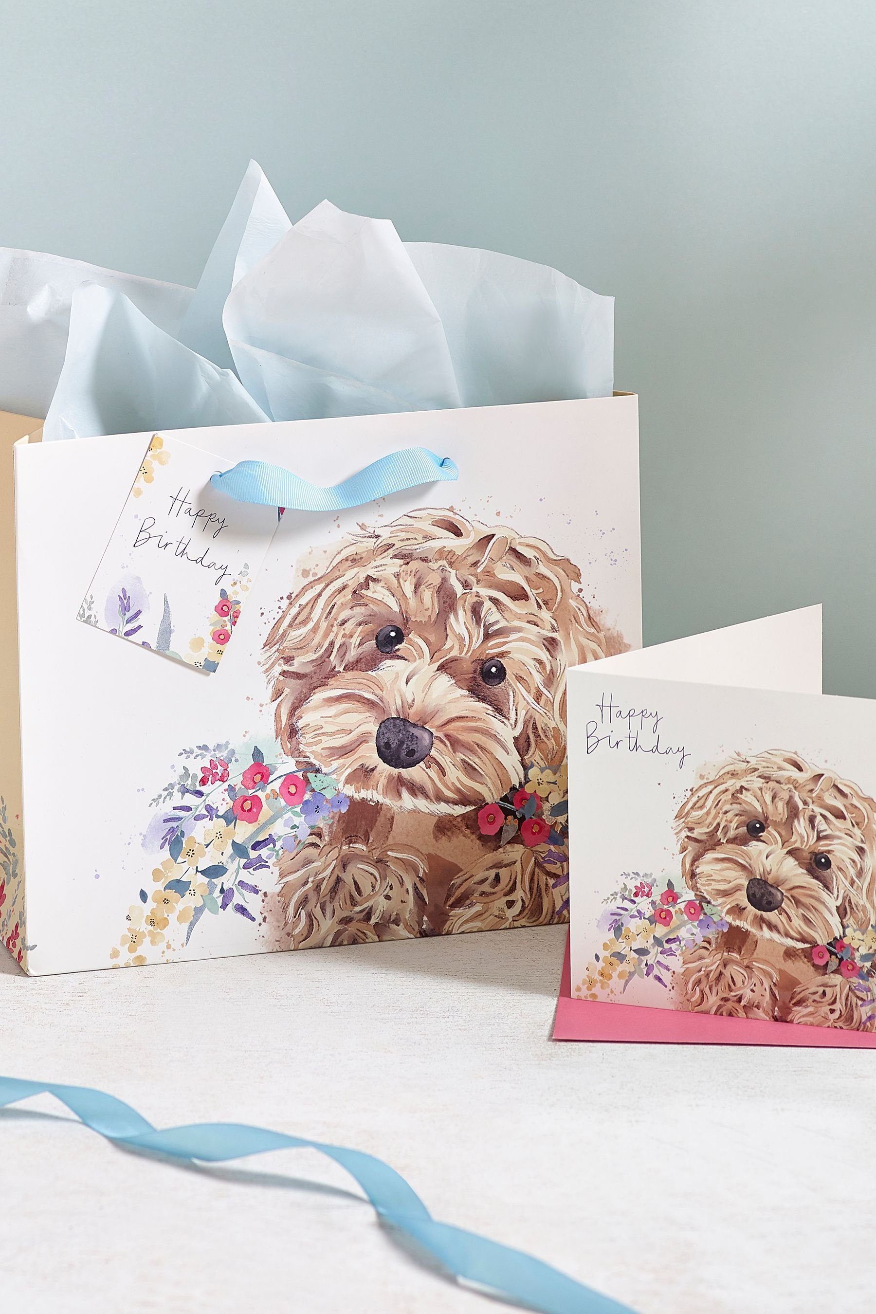 Next Geschenkpapier Geschenktasche und Karte im Set Cockapoo, (1St)