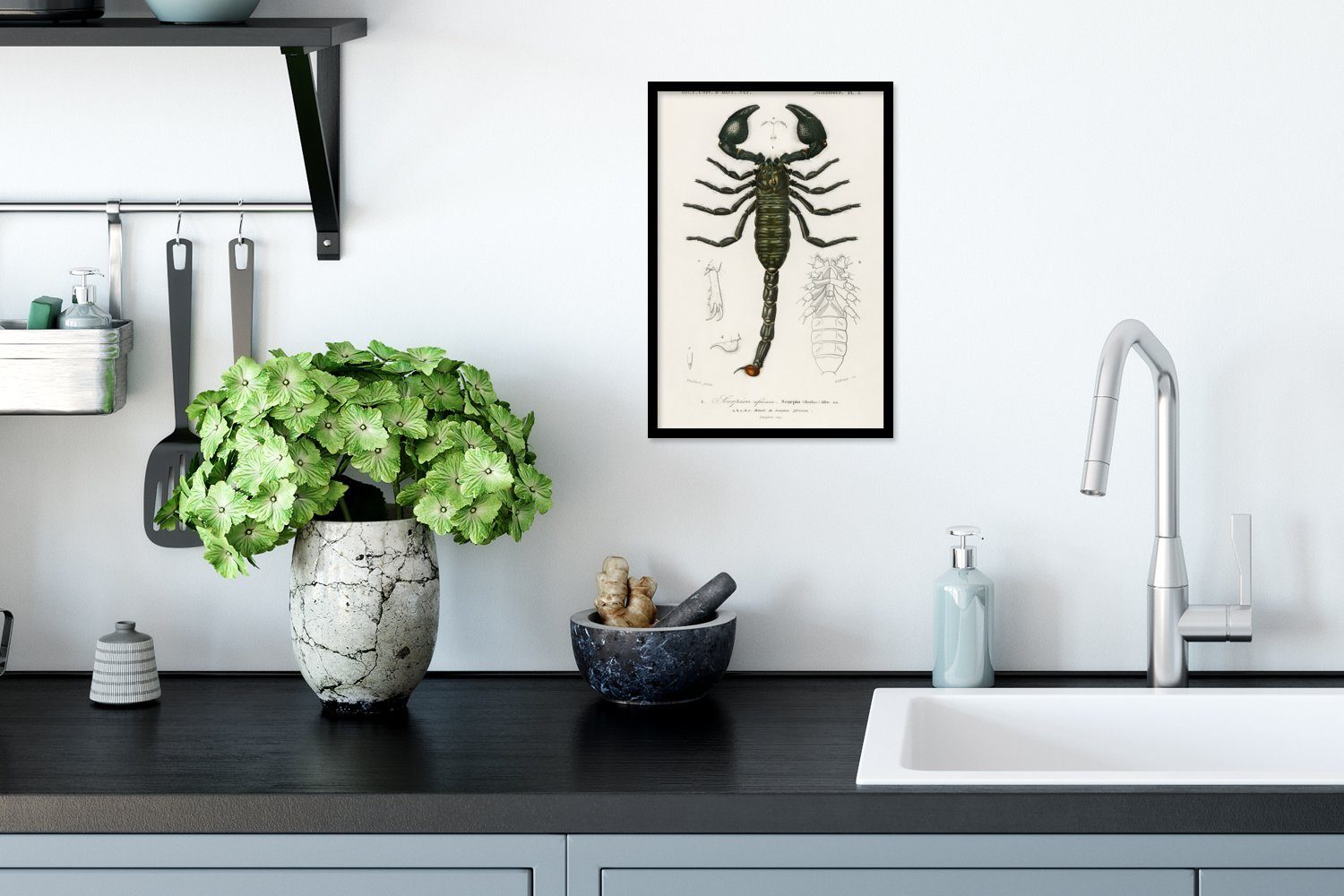 Insekten, Bilderrahmen Schwarzem Poster, Wandposter, Poster Gerahmtes Wanddeko, (1 MuchoWow - - Bilder, Skorpion Jahrgang St),