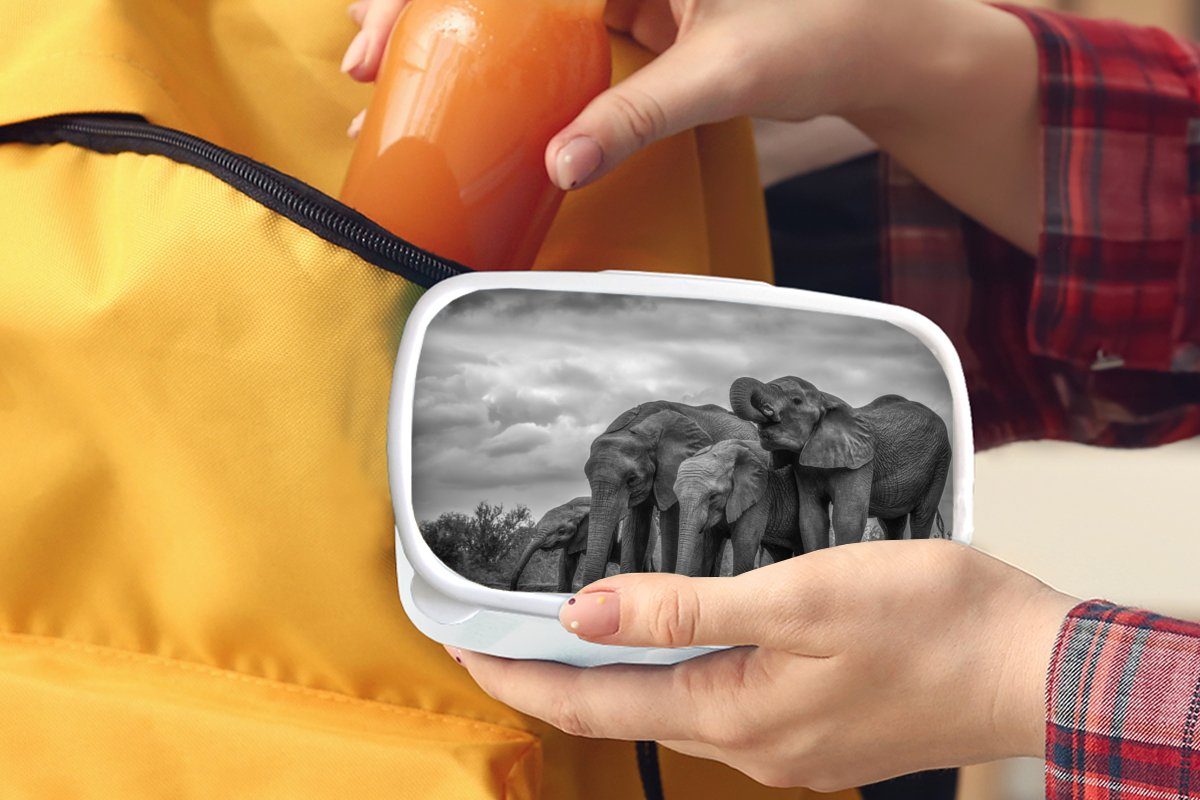 MuchoWow Lunchbox Elefant - Schwarz Kinder für Mädchen Kunststoff, Brotdose, und Jungs - Brotbox weiß, und Erwachsene, und - (2-tlg), für Wasser Tiere