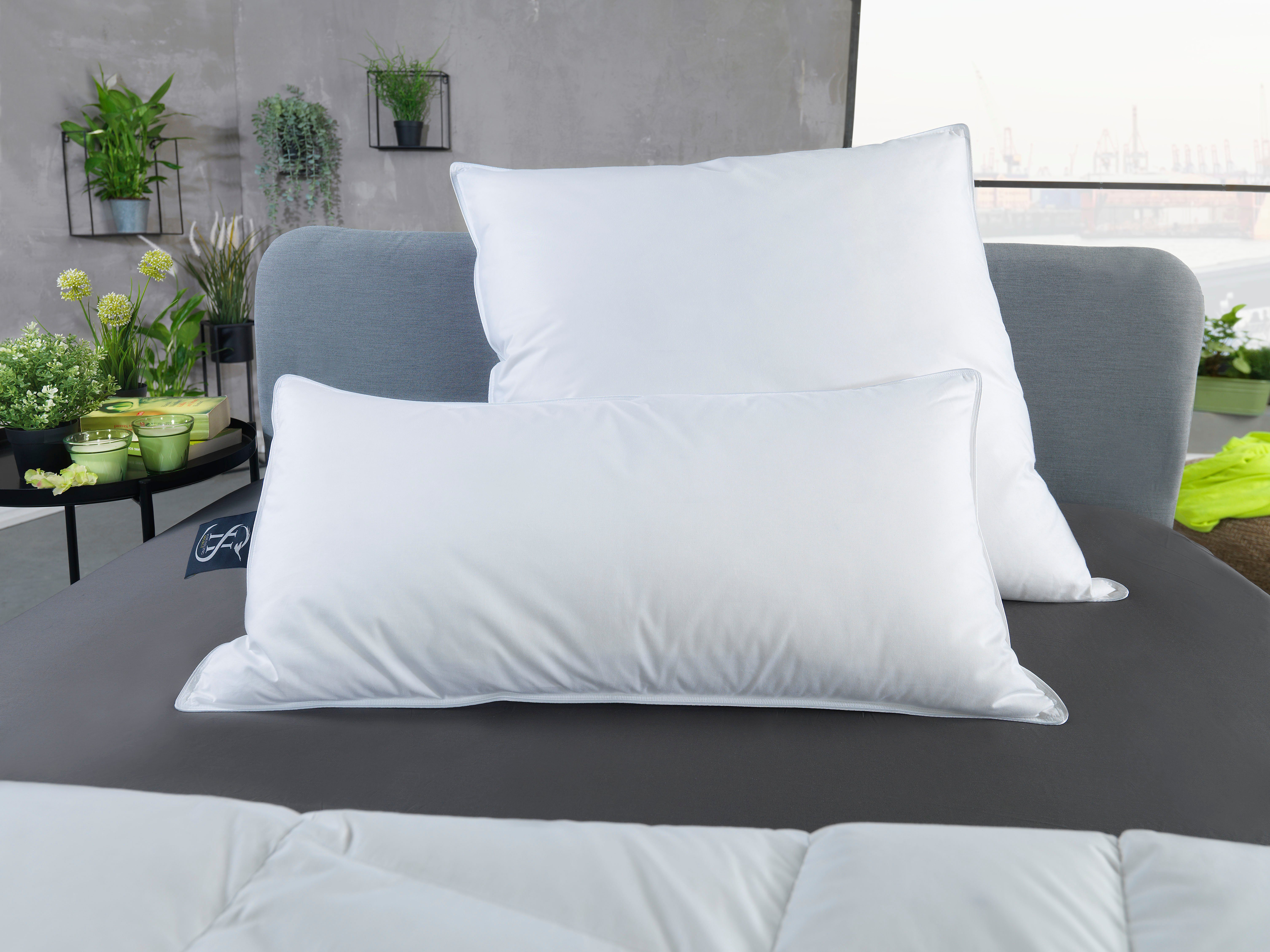 Haeussling Federkissen Häussling Select - Made in Green, Füllung: weiße neu günstig online kaufen