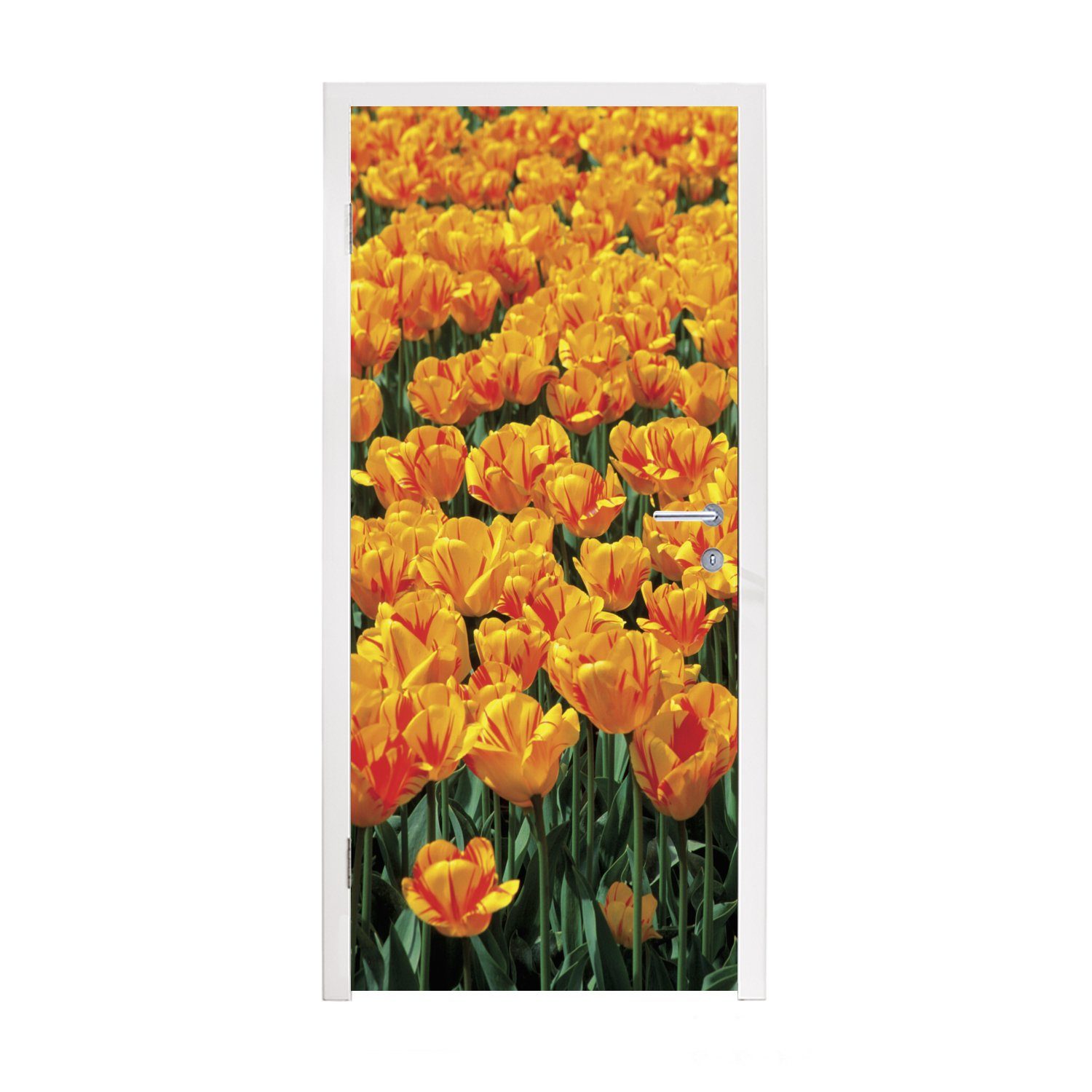 MuchoWow Türtapete Orangefarbenes Tulpenfeld, Matt, bedruckt, (1 St), Fototapete für Tür, Türaufkleber, 75x205 cm