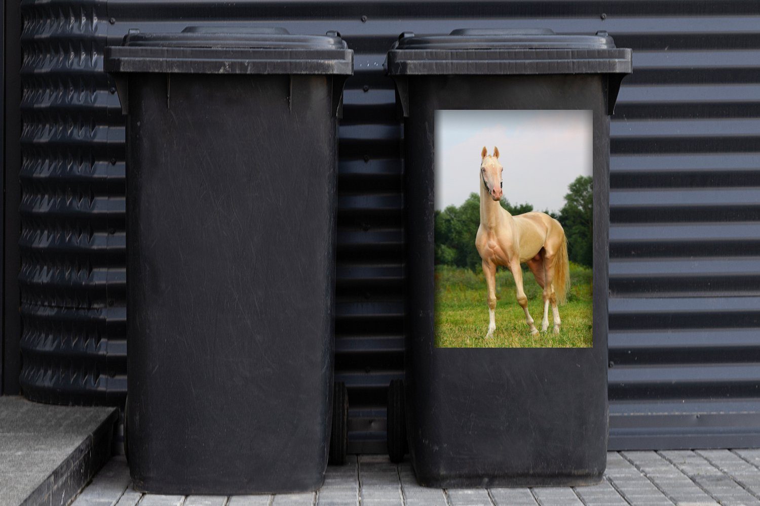 Gras - Mülltonne, Wandsticker - (1 Farben MuchoWow St), Container, Abfalbehälter Sticker, Pferde Mülleimer-aufkleber,