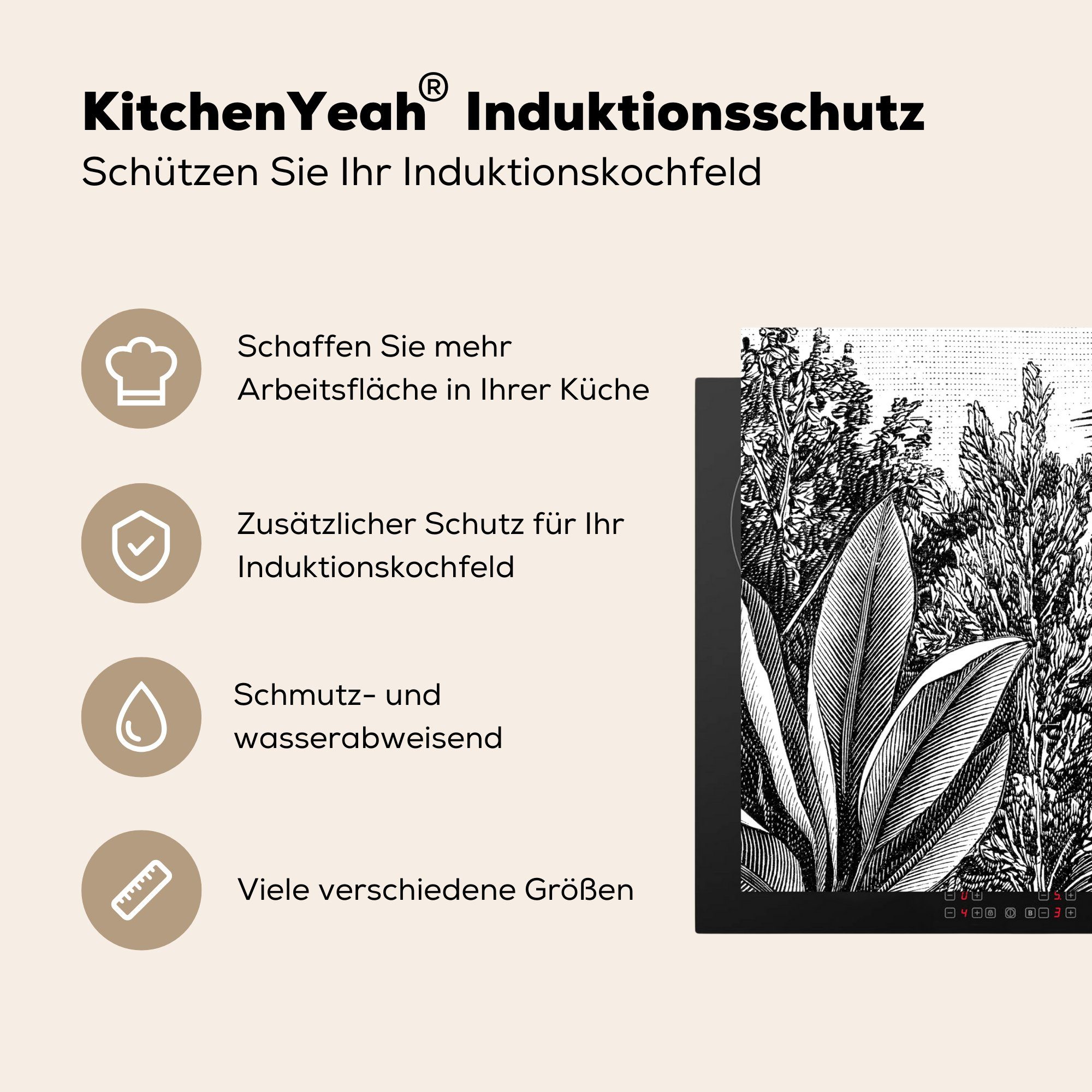 Gestaltung (1 - Ernst MuchoWow Arbeitsplatte Natur für Illustration 77x59 Vinyl, - cm, küche Haeckel, - Ceranfeldabdeckung, Herdblende-/Abdeckplatte - Pflanzen tlg),