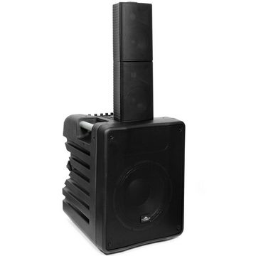 Vyrve Audio Mizar PA-System mit 4 XLR-Klinkenkabel Portable-Lautsprecher (kein, 250 W)