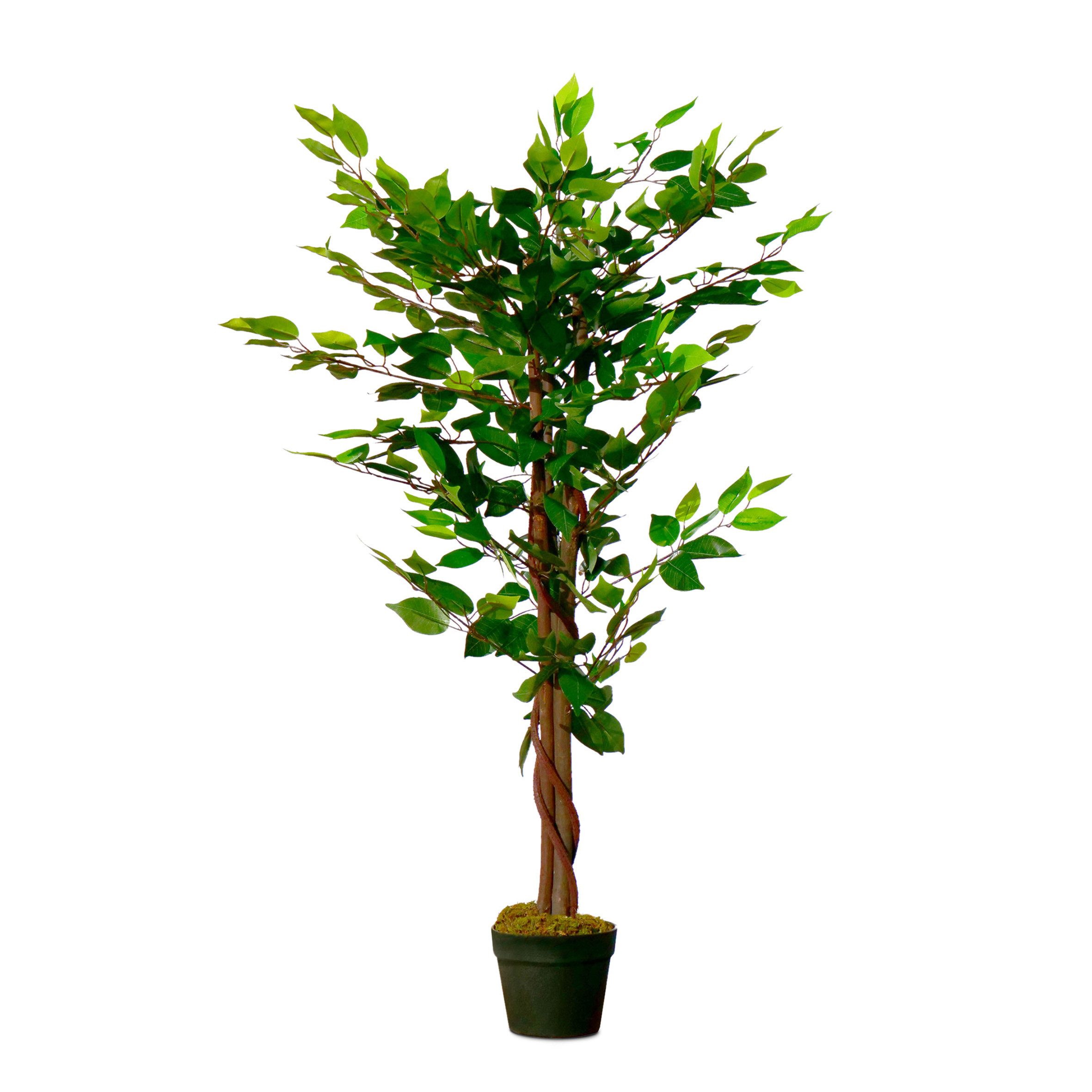 Künstliche Zimmerpflanze Kunstpflanze im Blumentopf 115 günstig online kaufen