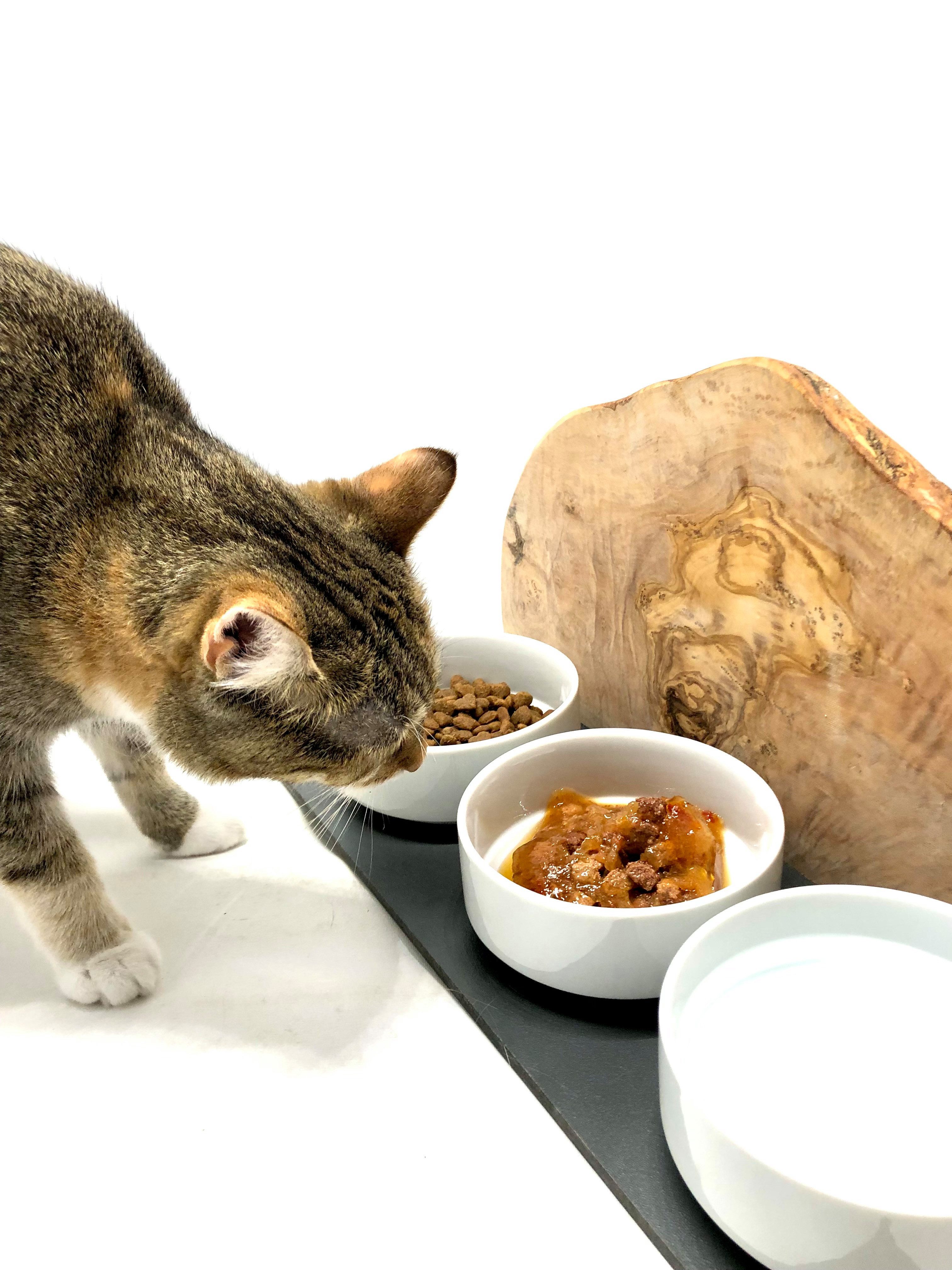 Olivenholz-erleben Futterstation 3-in-1 Wasser & Futter CATS TRIO MOUNTAIN Olivenholz, 3x 0,4l Schalen, Porzellan, Einzigartiger „Berg-Effekt“ aus Olivenholz – jedes Stück ein Kunstwerk