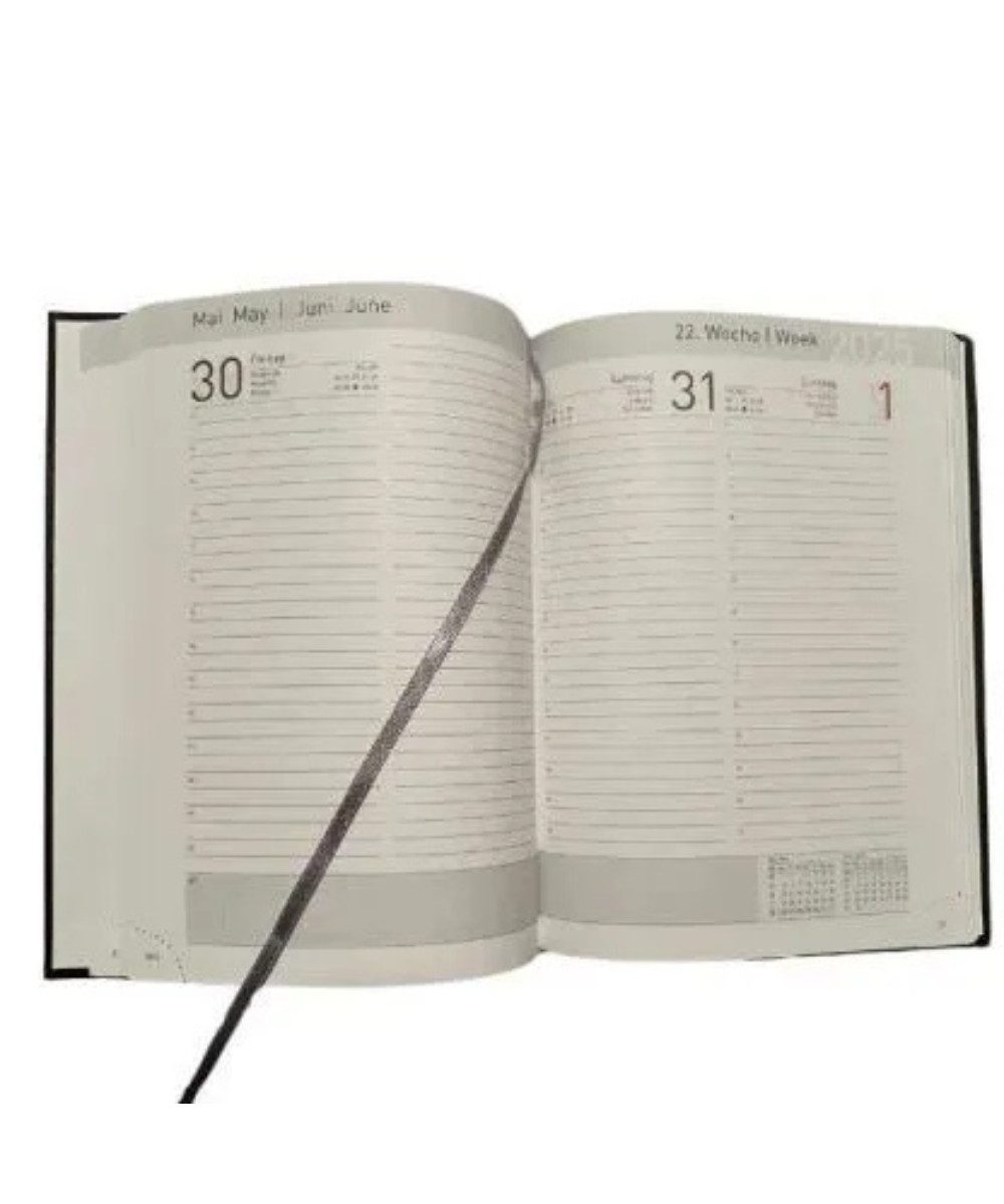 Terminplaner Buchkalender Tagesplaner 2025 schwarz