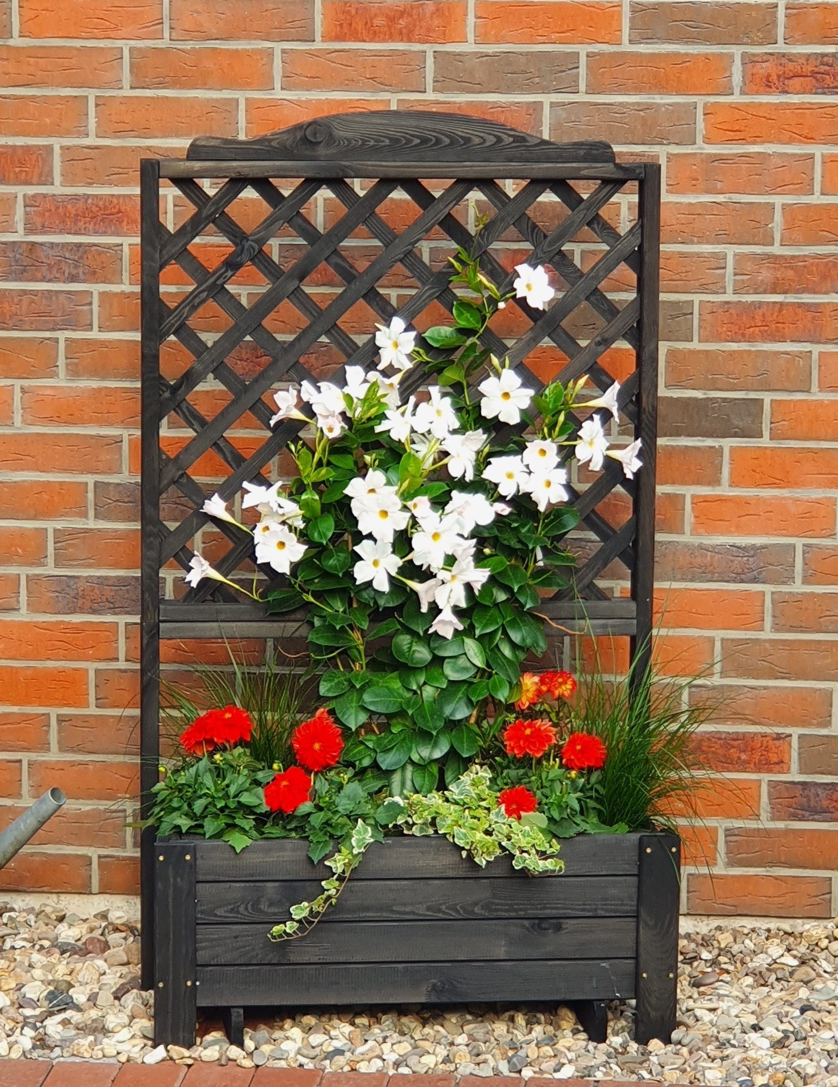 promadino Spalier Romantica, aus imprägniertem und FSC®-zertifiziertem Kiefernholz
