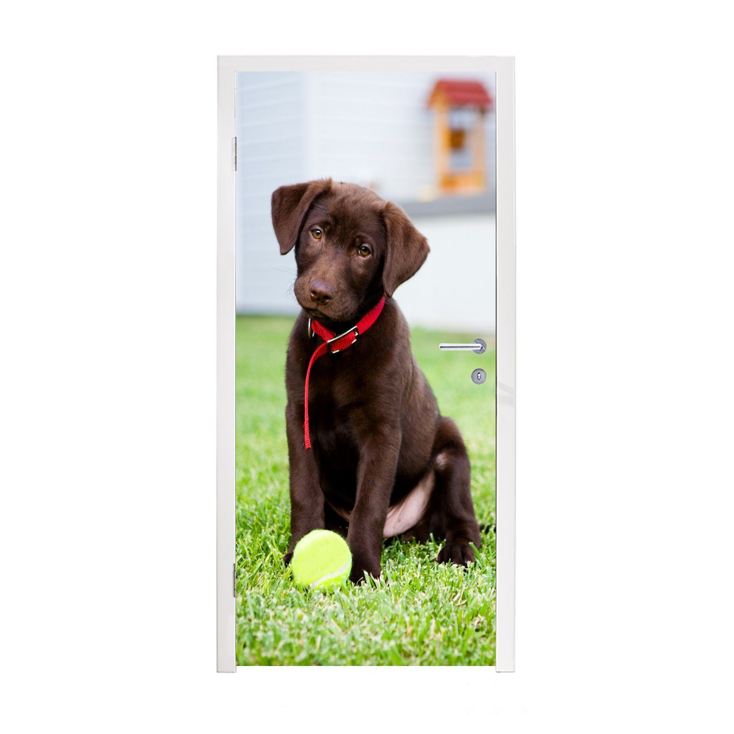 MuchoWow Türtapete Labrador Retriever Welpe mit einem Tennisball, Matt, bedruckt, (1 St), Fototapete für Tür, Türaufkleber, 75x205 cm