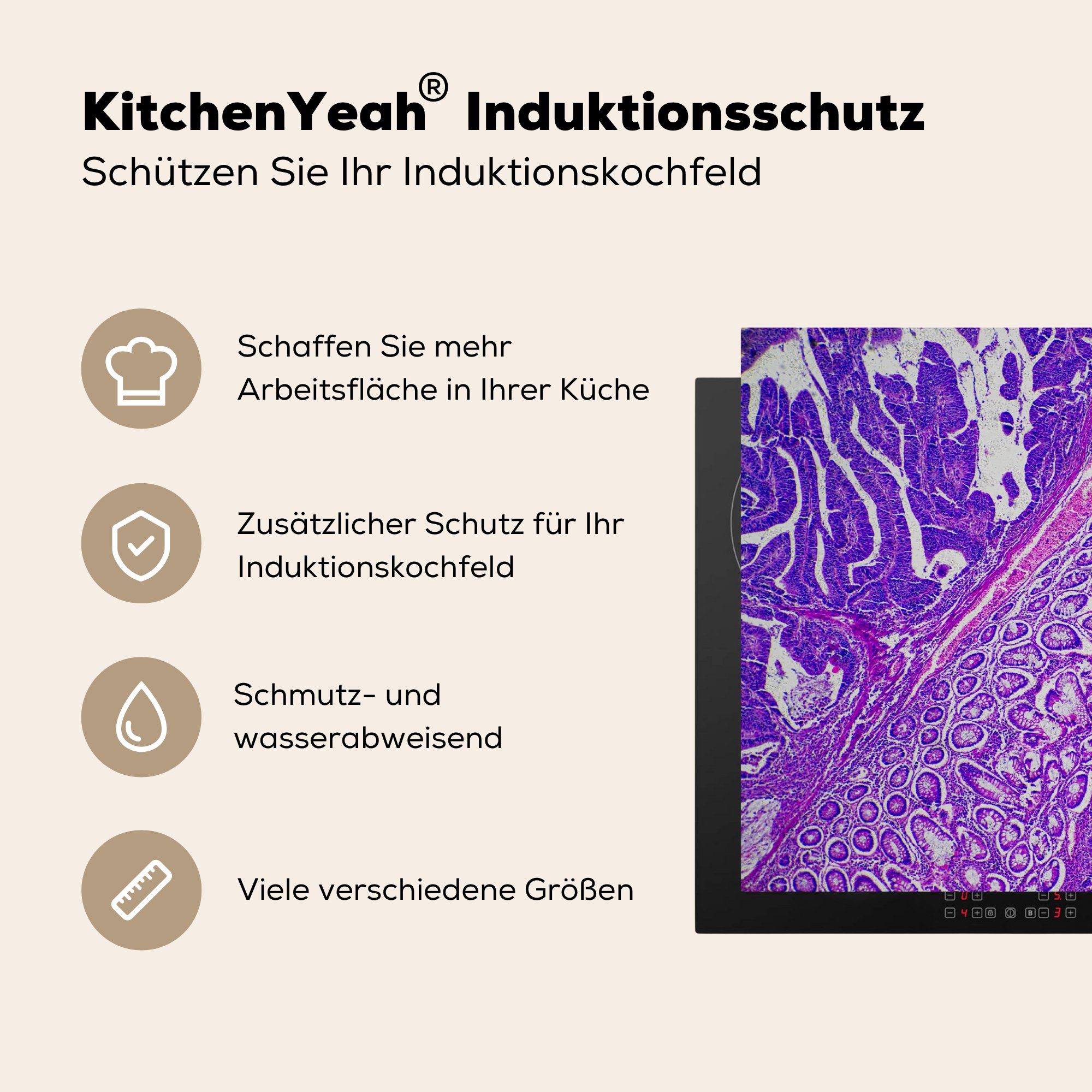 Ceranfeldabdeckung Bakterien, küche, tlg), Herdblende-/Abdeckplatte die MuchoWow für 81x52 cm, Vinyl, Induktionskochfeld Schutz (1