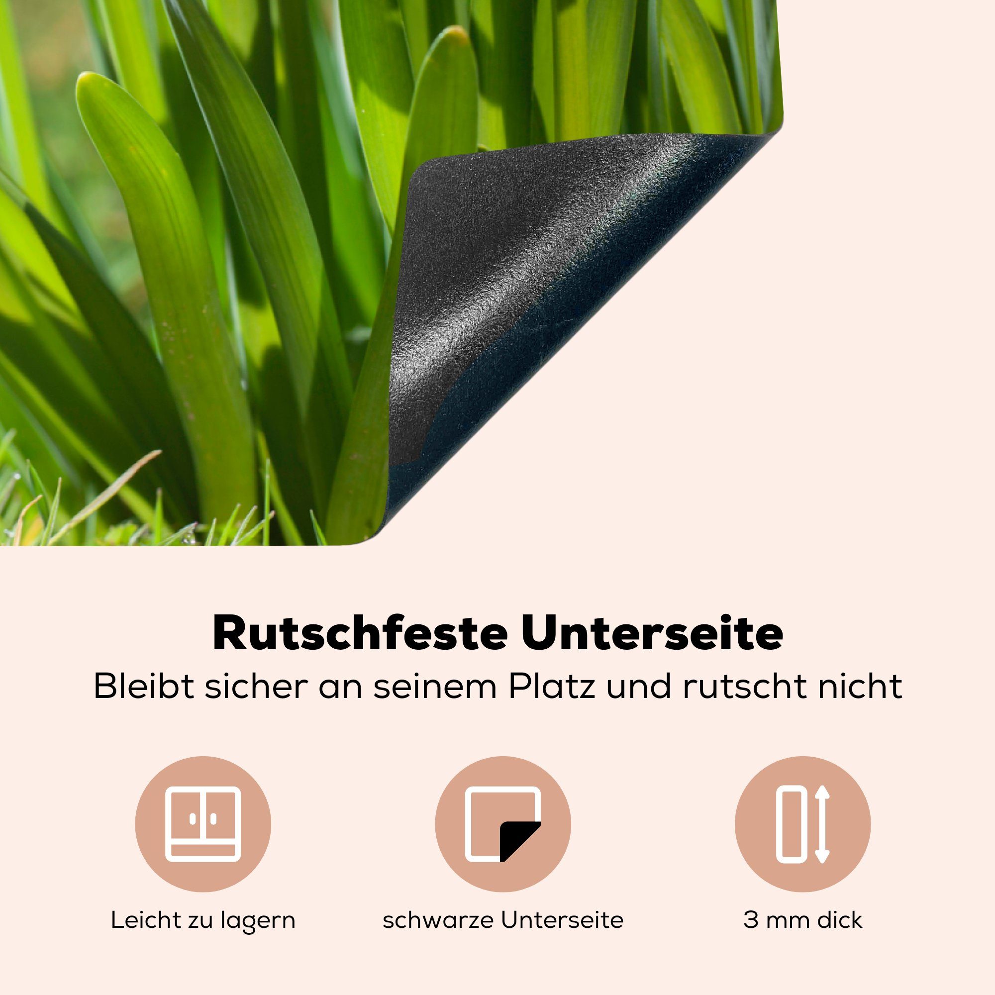 MuchoWow Herdblende-/Abdeckplatte Narzisse - für Schutz Frühling, (1 Gelb Ceranfeldabdeckung cm, - küche, Induktionskochfeld tlg), Vinyl, die 81x52