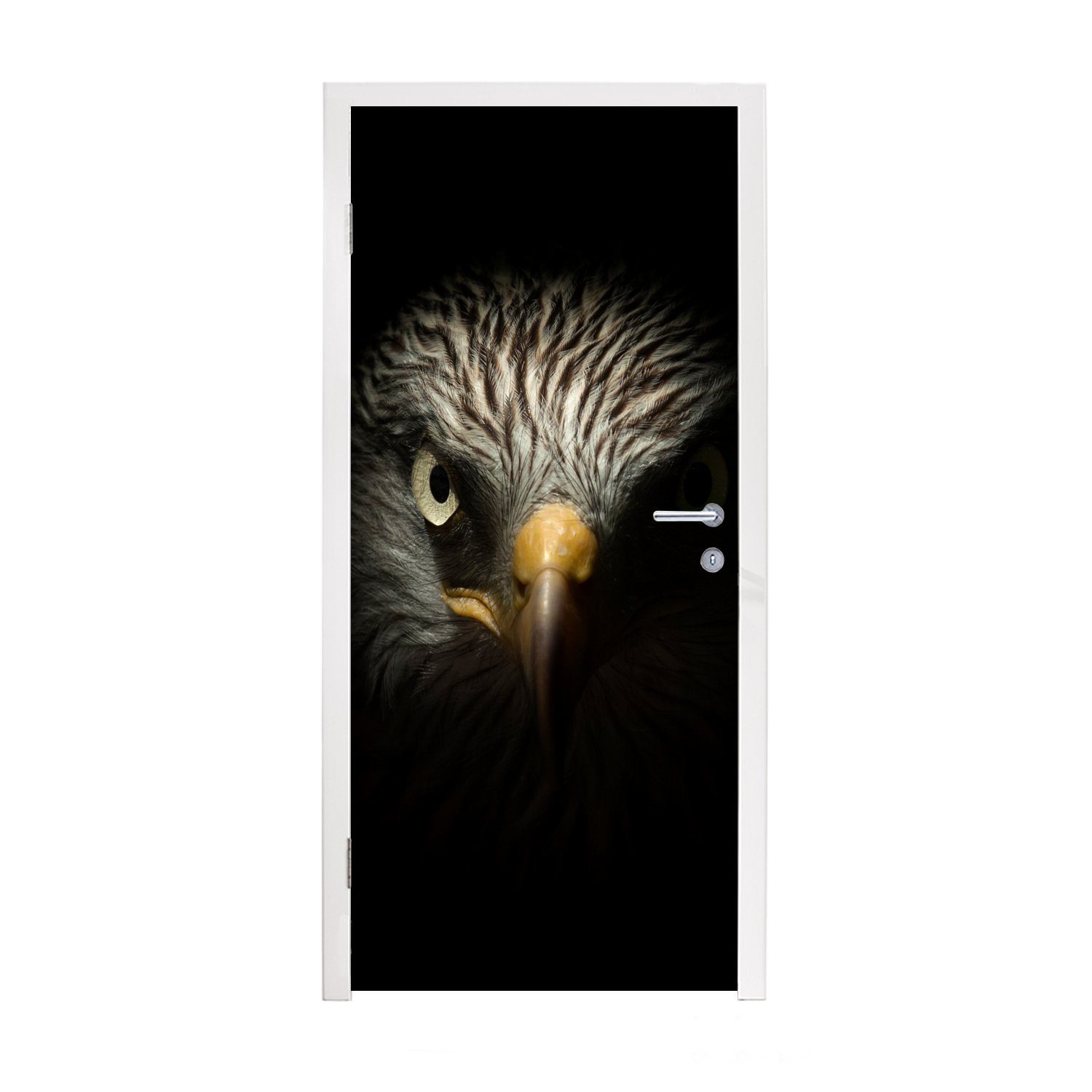 Türaufkleber, (1 Licht, Tür, Türtapete Adler - - bedruckt, Fototapete cm - für Auge Schnabel 75x205 St), Matt, Raubvögel Vogel - - MuchoWow