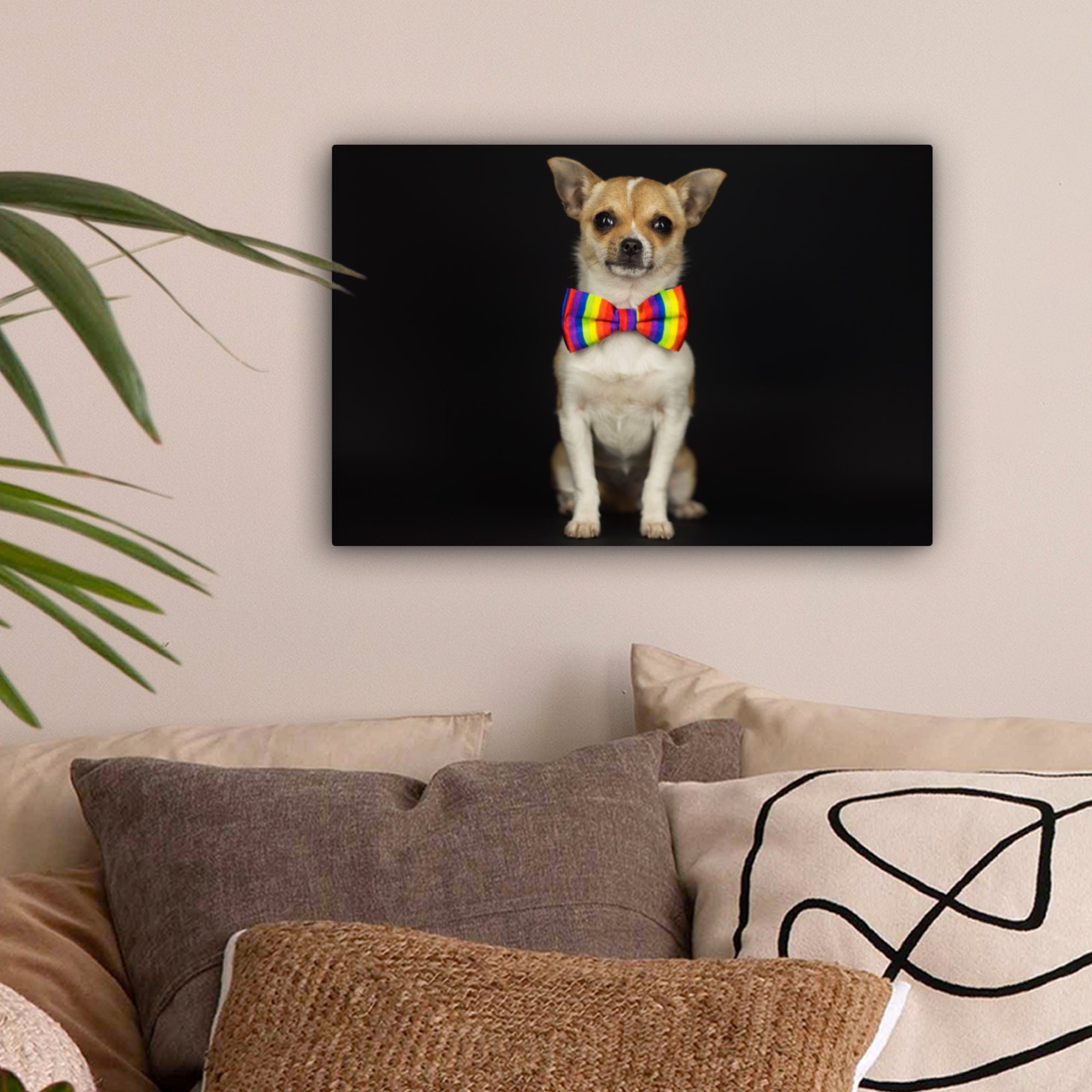 (1 Aufhängefertig, Wanddeko, - Hund Fliege OneMillionCanvasses® Schwarz, cm Wandbild Leinwandbild St), - Leinwandbilder, 30x20