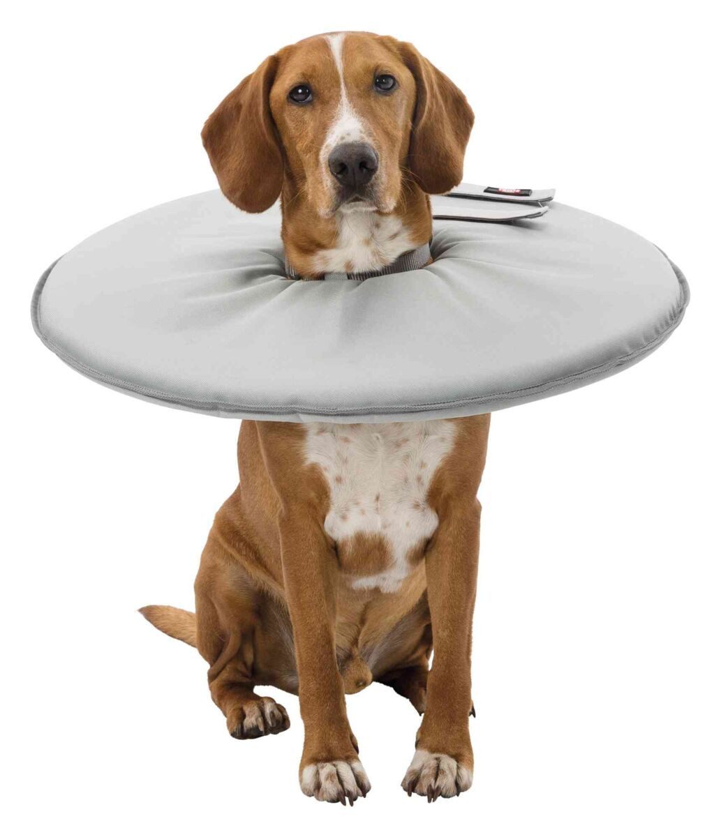 TRIXIE Schutzkragen Schutzkragen - grau - 23–27 cm/13 cm