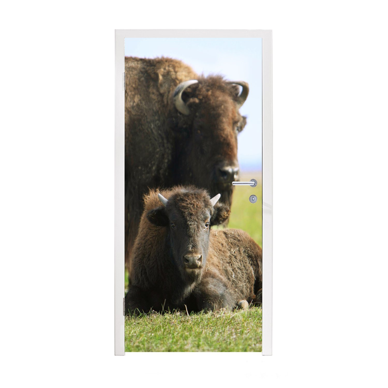 MuchoWow Türtapete Büffel - Gras - Kalb, Matt, bedruckt, (1 St), Fototapete für Tür, Türaufkleber, 75x205 cm