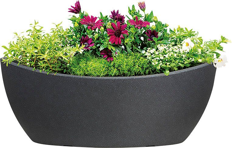 Scheurich schwarz WA.GLOBE Jardiniere 58/253