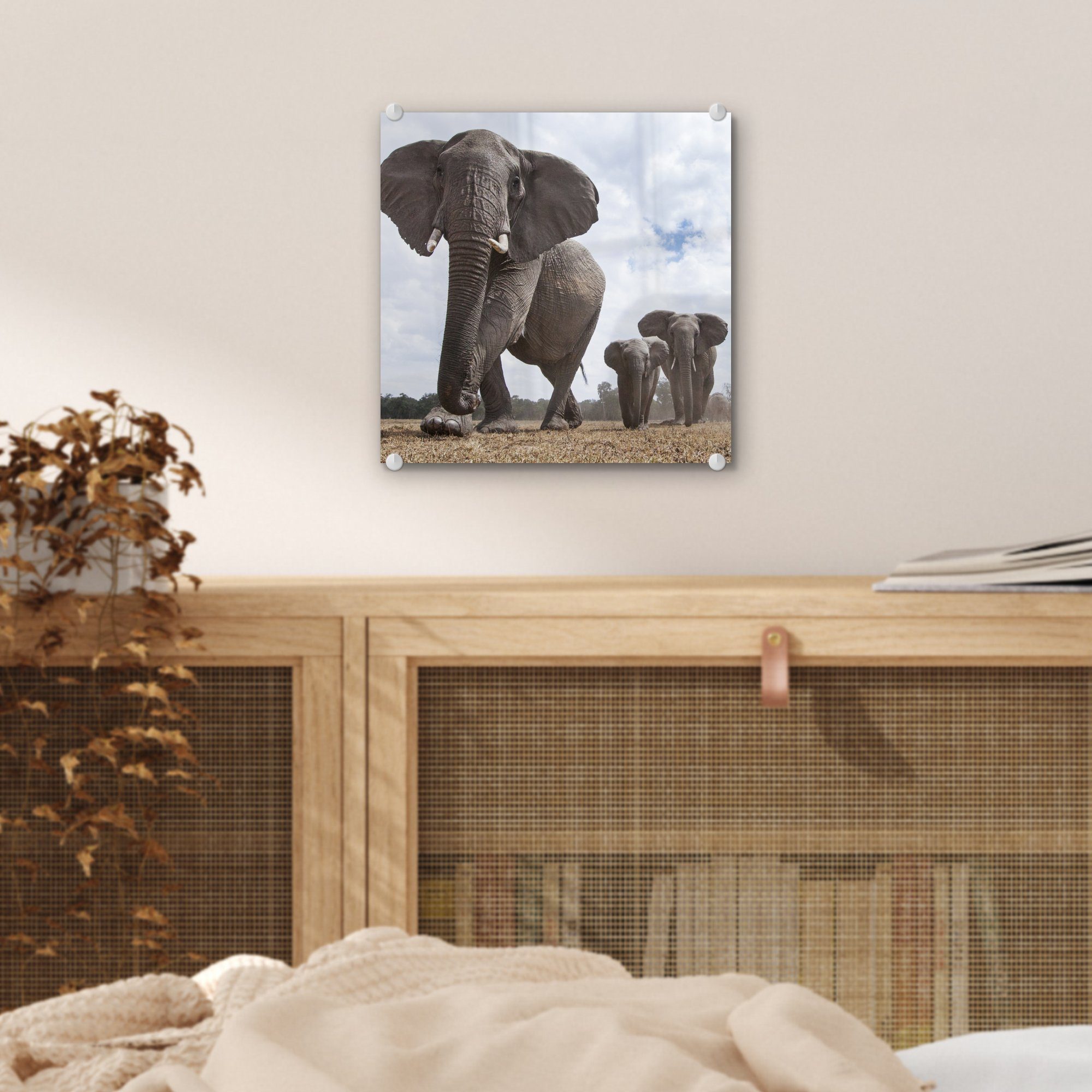 Glasbilder Elefant Flachland, - St), auf Wandbild - Wanddekoration - Tiere Bilder - Glas Foto Acrylglasbild MuchoWow Glas - (1 auf Natur -